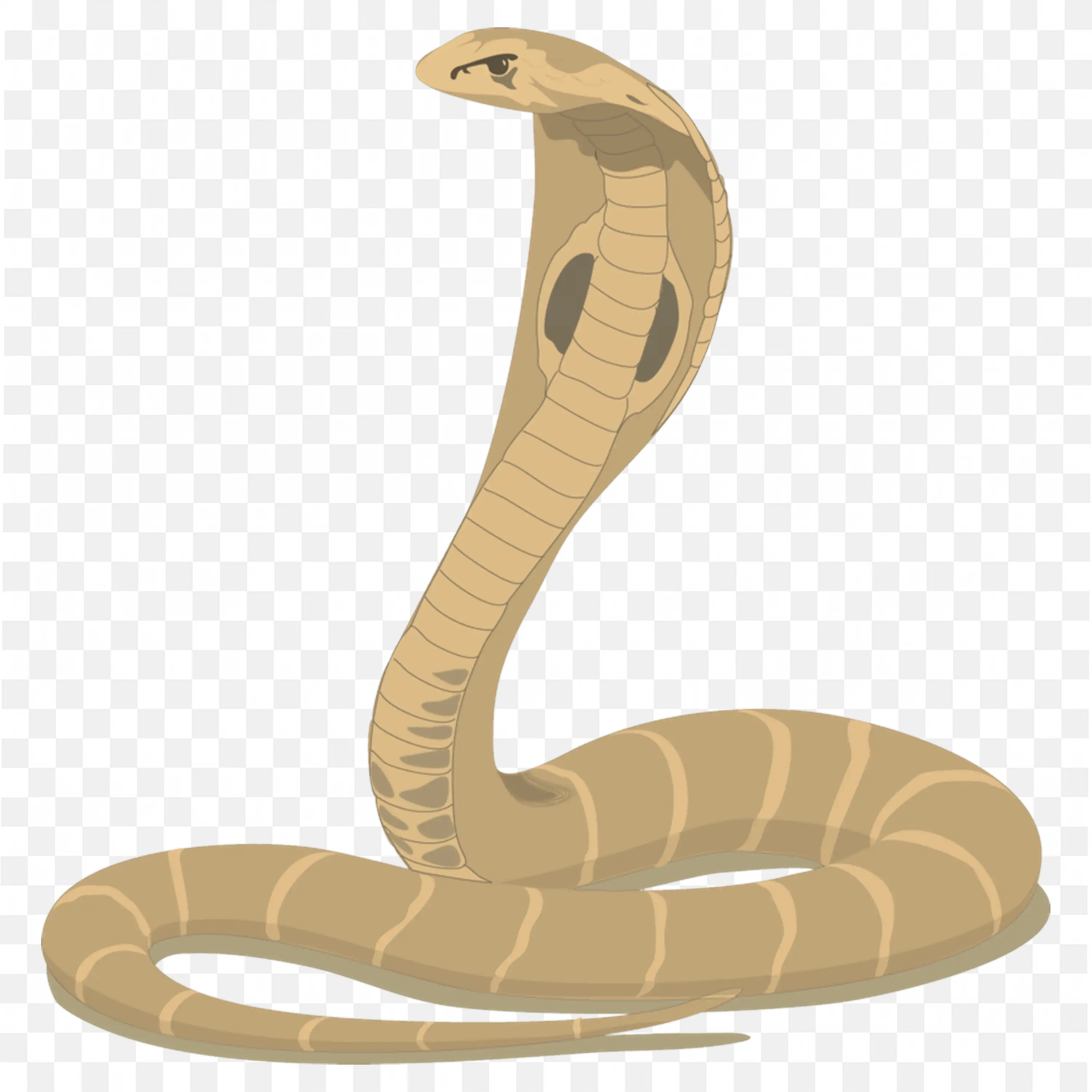 Brown Cobra PNG Nature Clip Art Venomous Snake Free Image