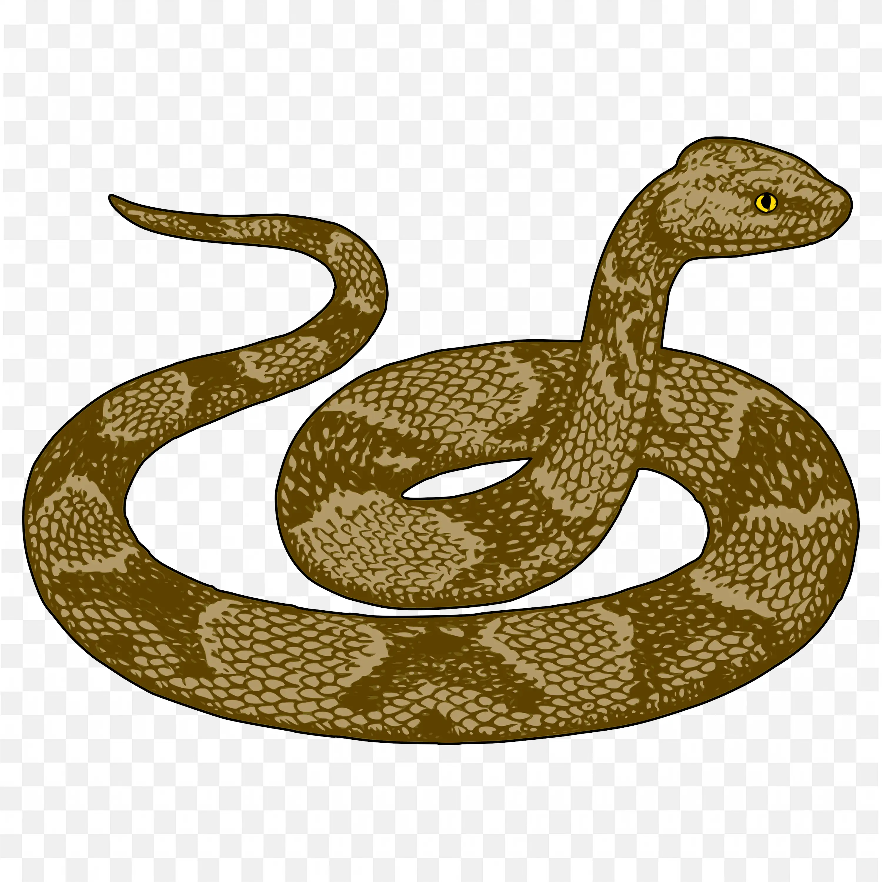 Brown Desert Snake Coiled Clip Art Nature Reptile Art