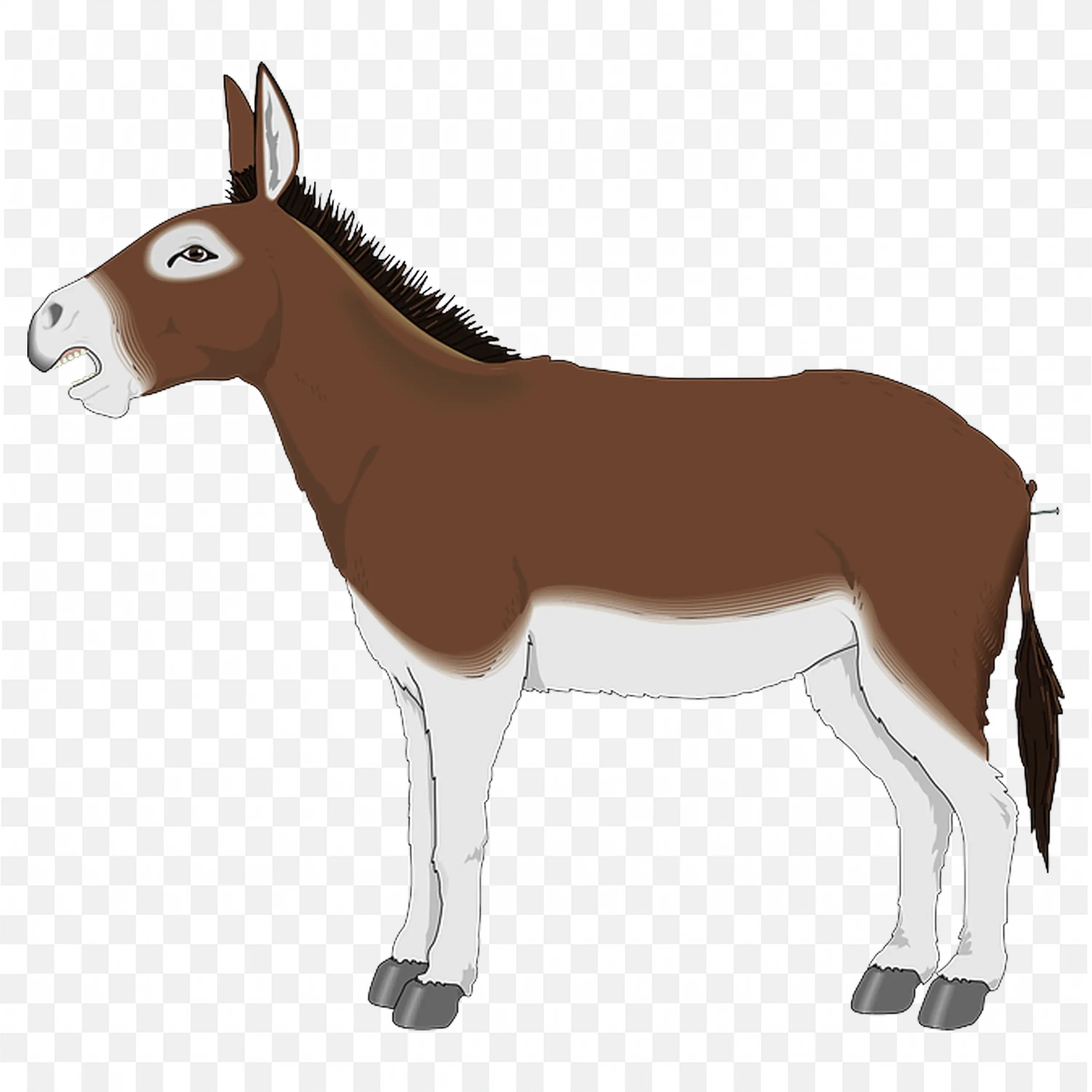 Brown Donkey Animal PNG Nature Image Free Download