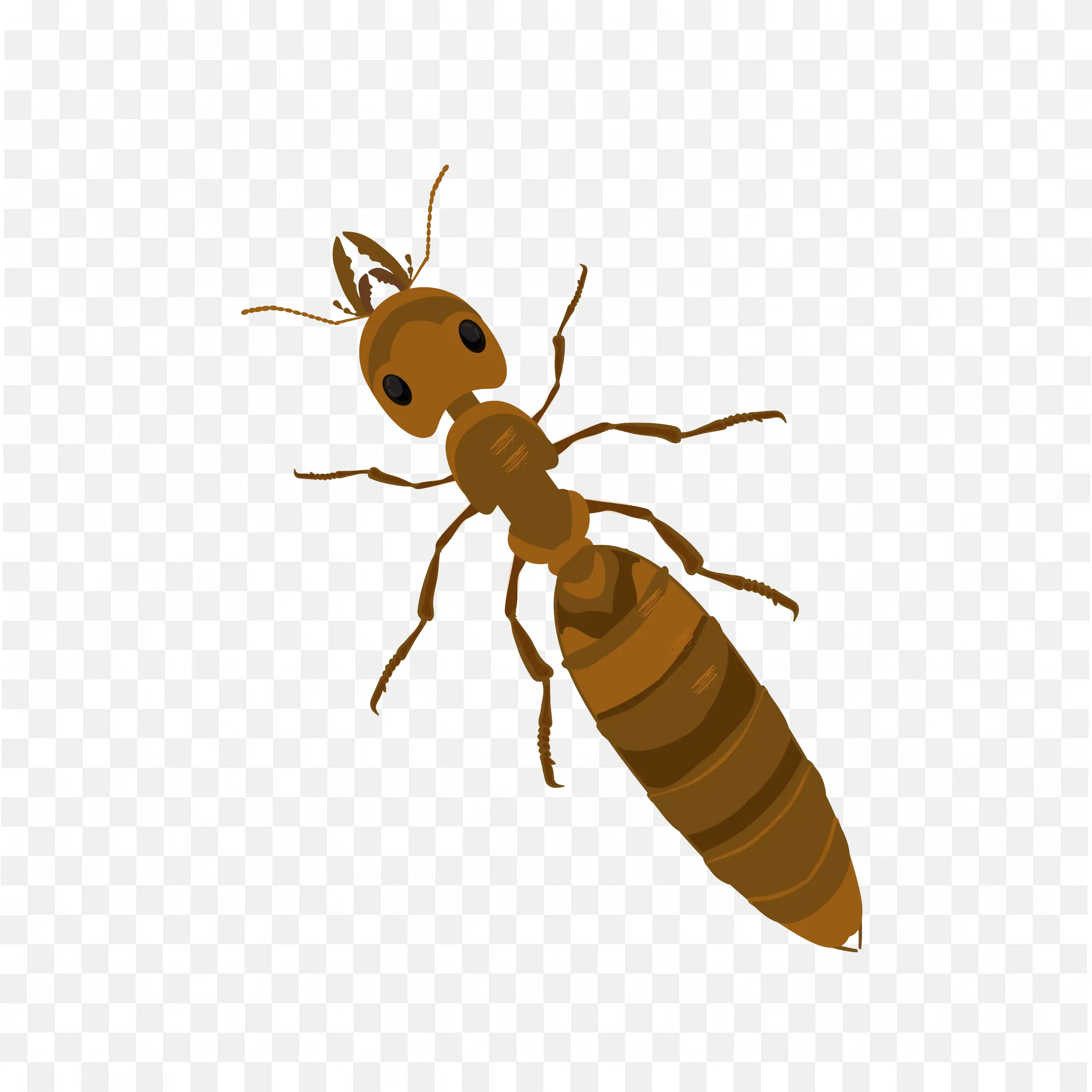 Brown Termite Insect Clip Art Nature Pest Wildlife Bug