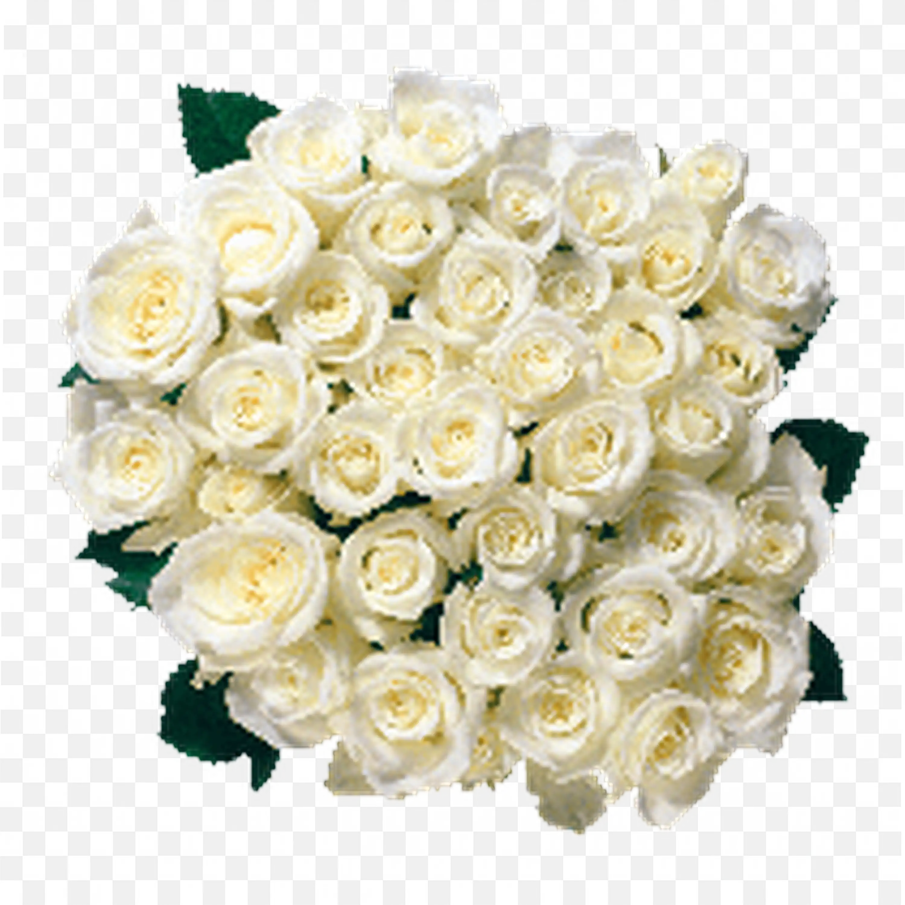 Bunch of Cream Roses with Leaves Elegant Nature Bouquet