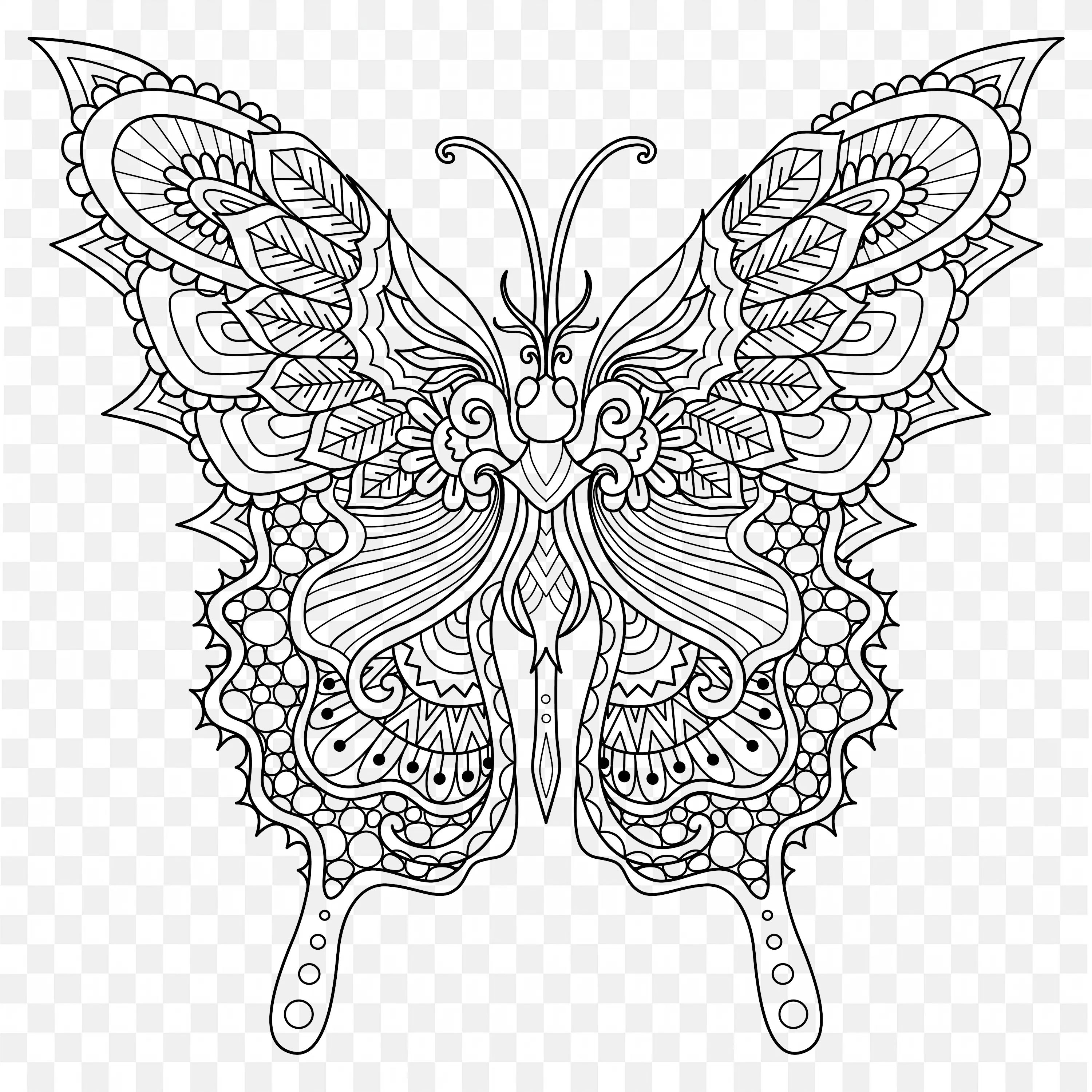 Butterfly Sketch PNG Line Art Nature Drawing Clip Design