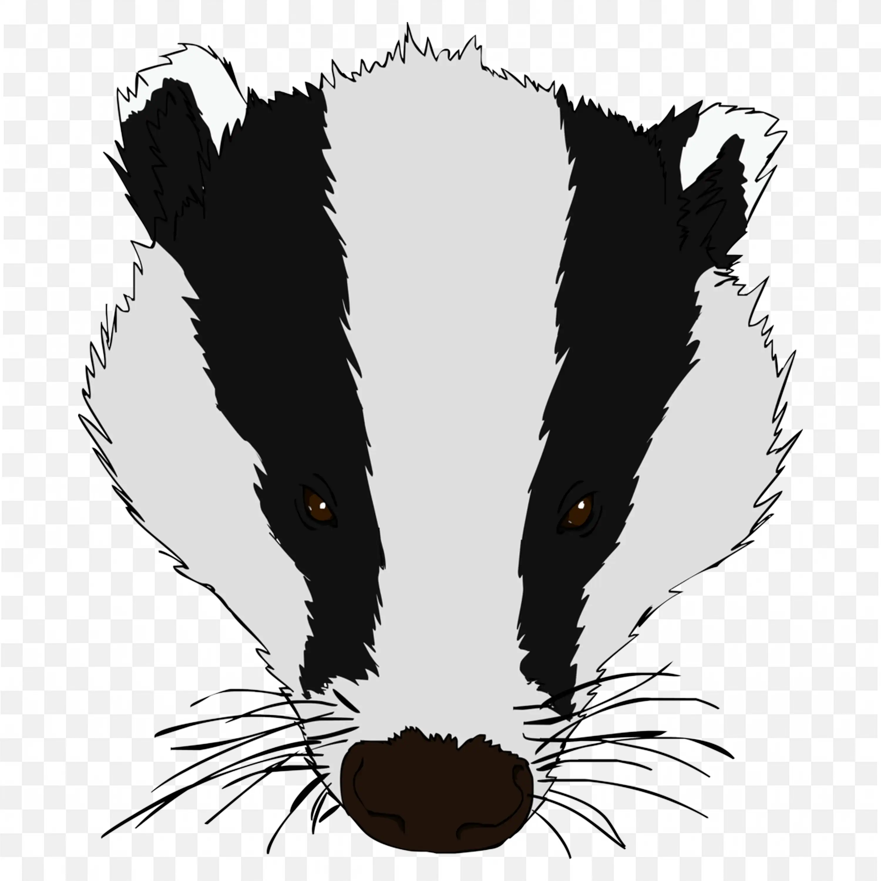 Cartoon Badger Face Clip Art Black White Animal Nature