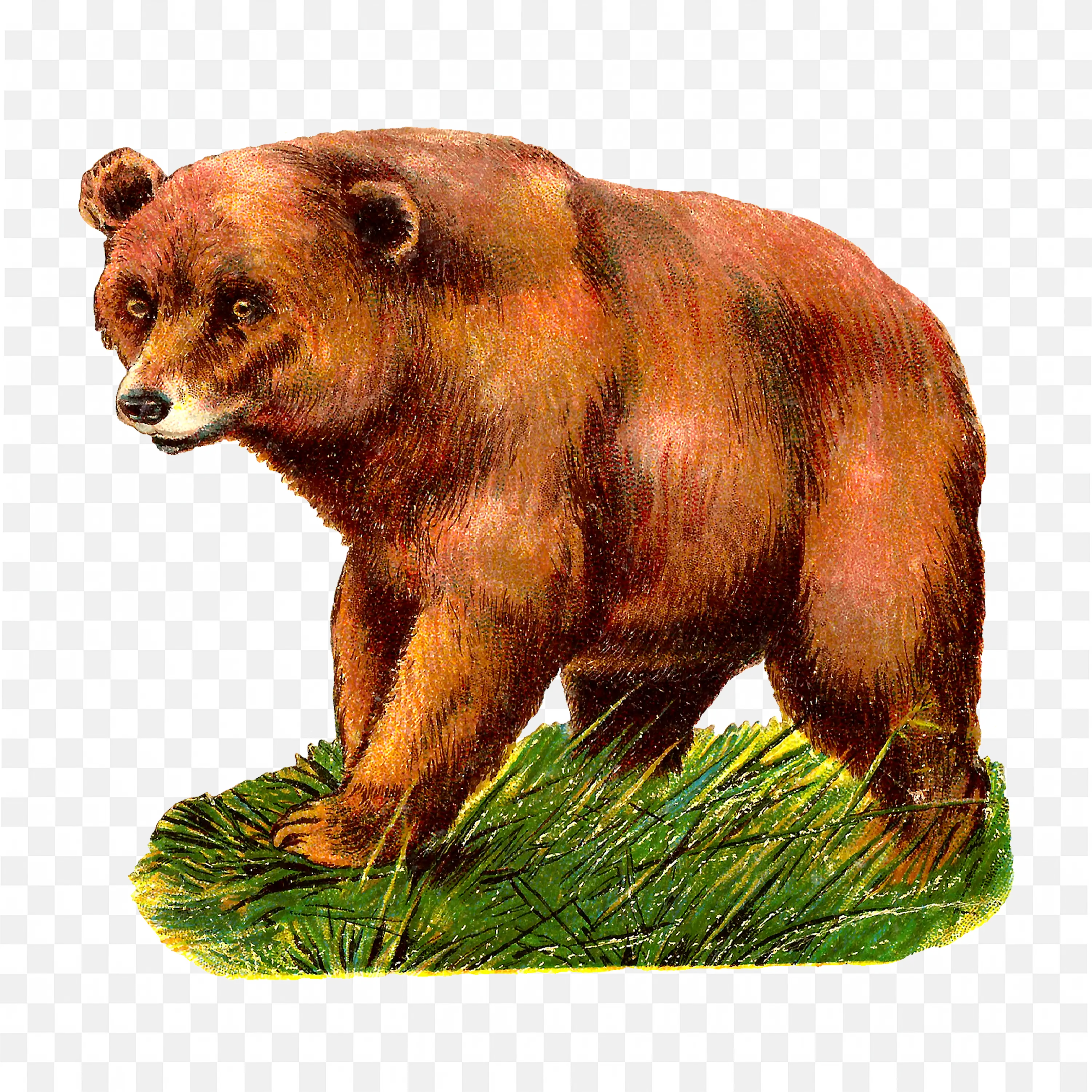 Cartoon Bear Growling PNG Stylized Brown Animal Artwork