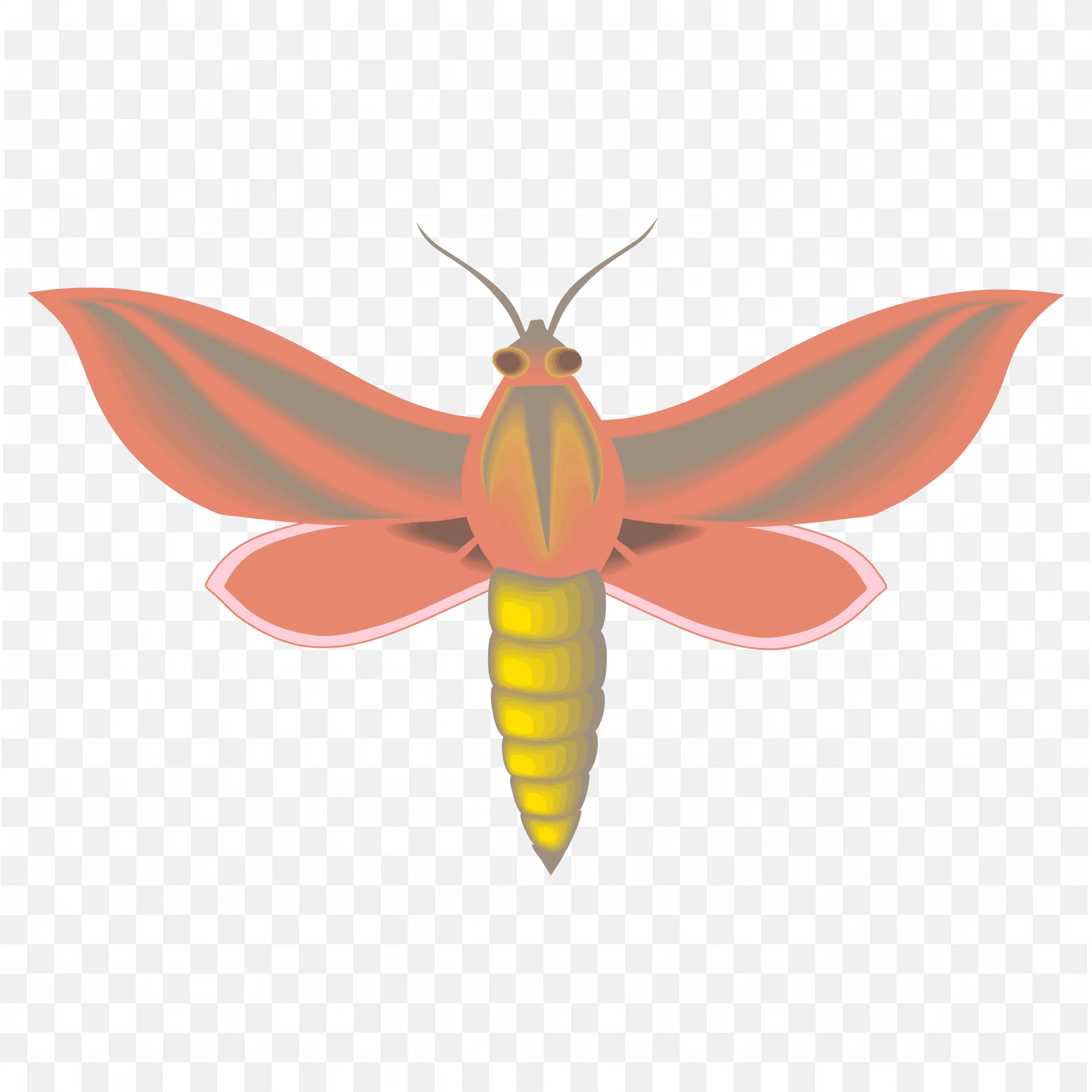 Cartoon Orange Butterfly Cute Flying Insect PNG Clip