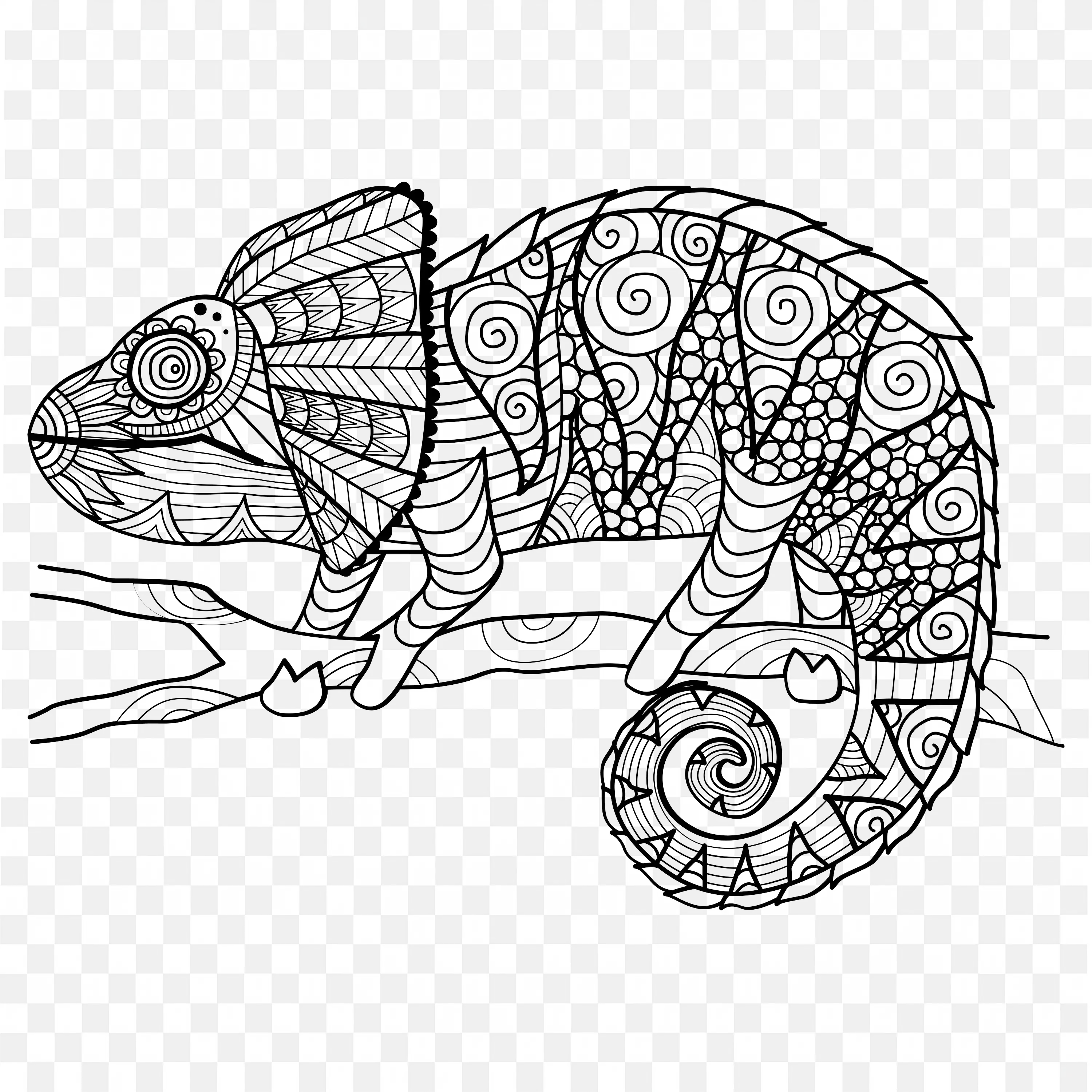 Chameleon Coloring Page Intricate Patterns and Branch Art