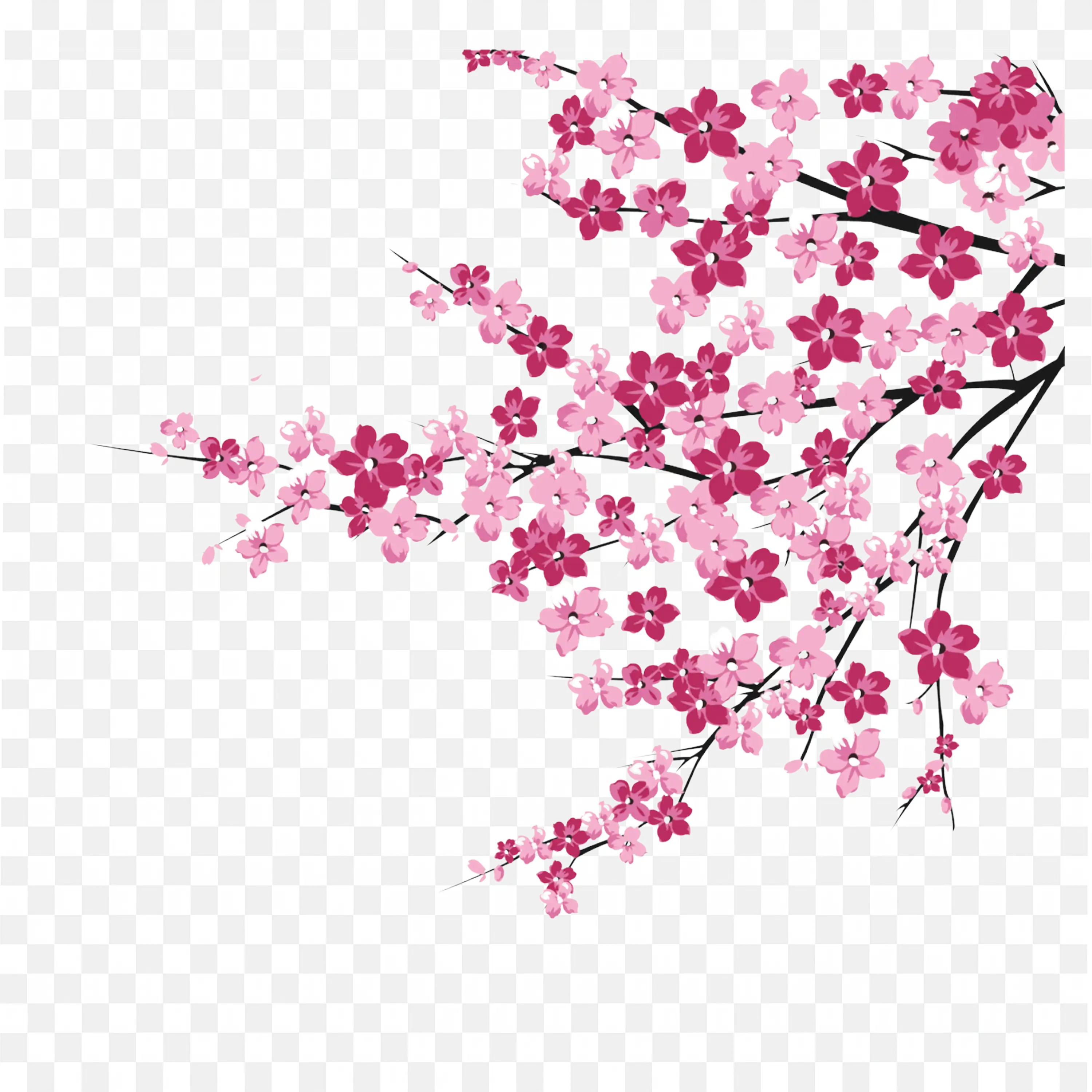 Cherry Blossom Branch PNG Delicate Pink Flowers Clipart