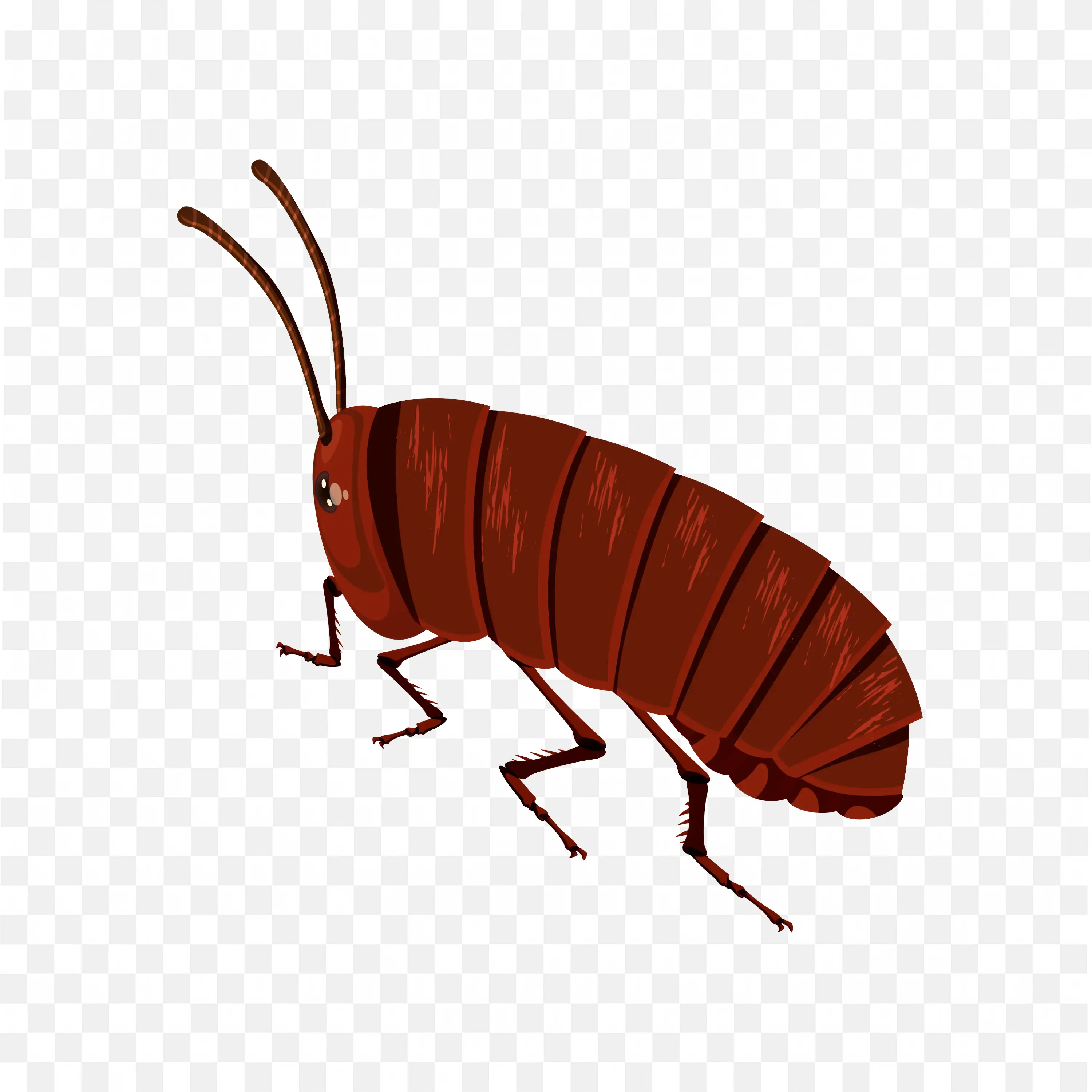 Cockroach PNG Brown Insect Detailed Illustration Clip
