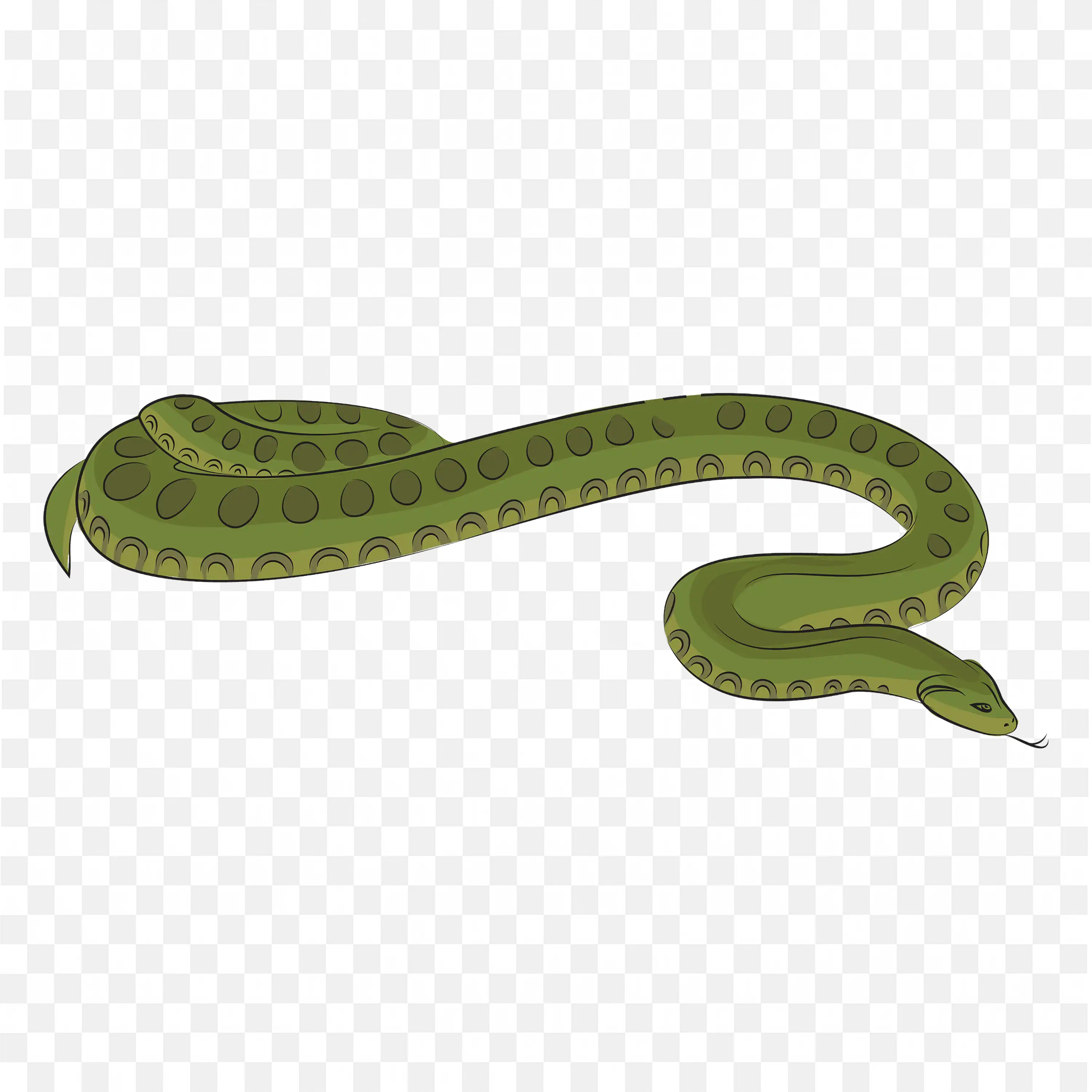Coiled Snake Clip Art Reptile Animal Green Nature Design