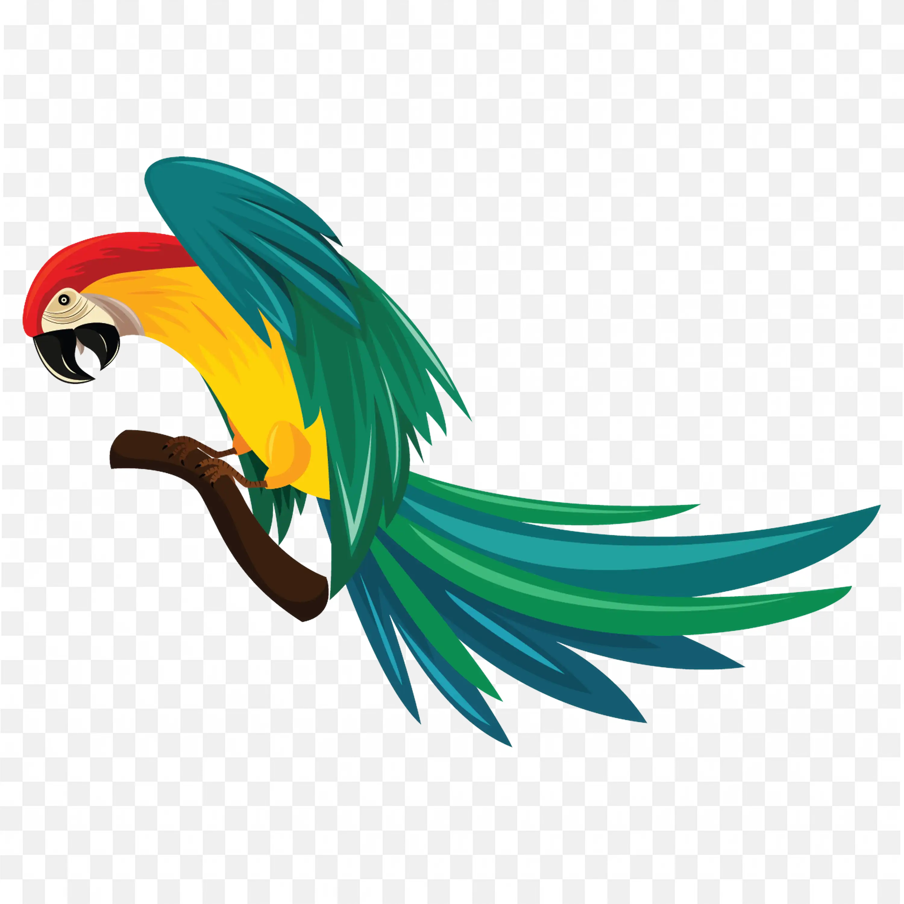 Colorful Macaw Parrot Bird PNG Nature Image Download