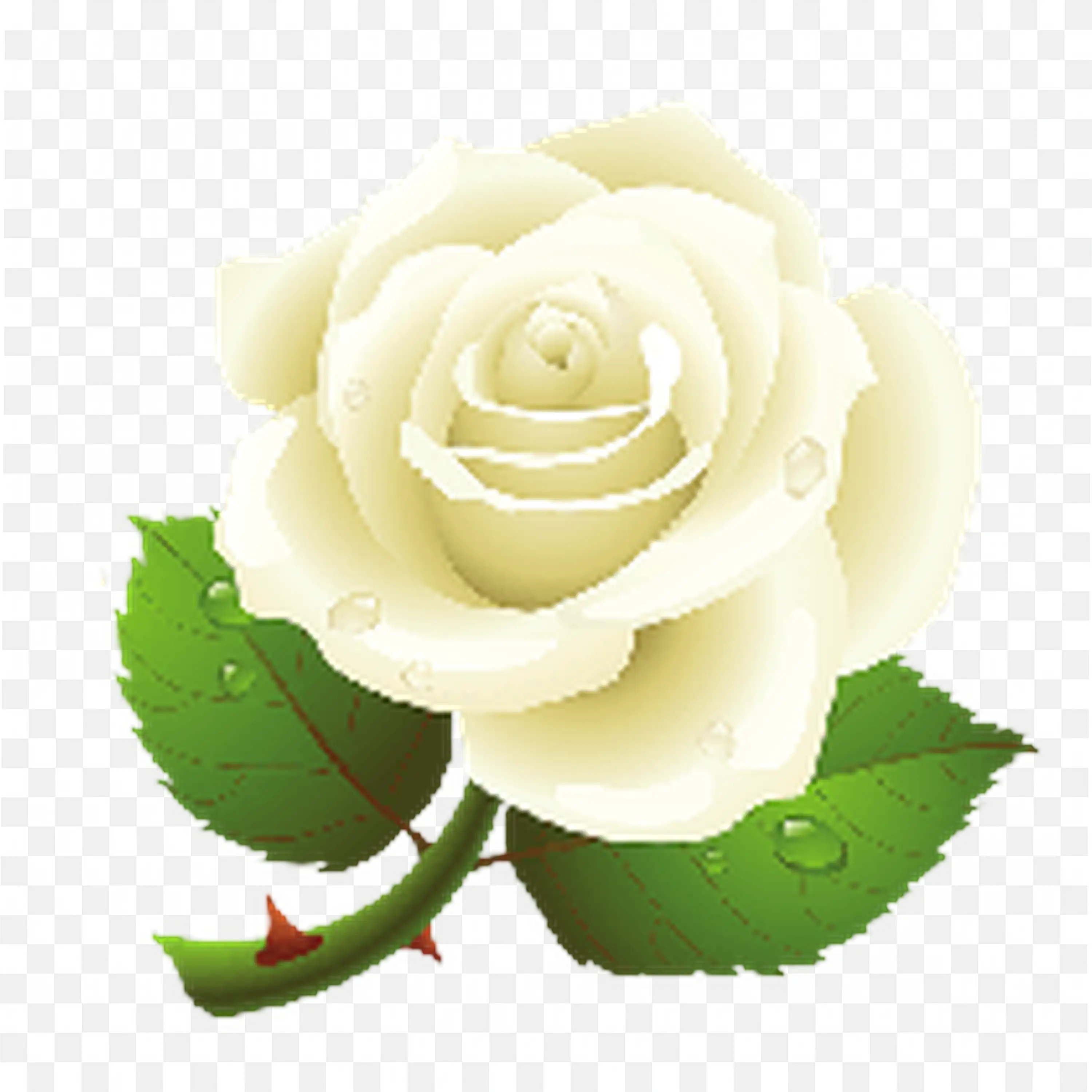 Cream Rosebud on Leafy Stem Botanical Floral Illustration