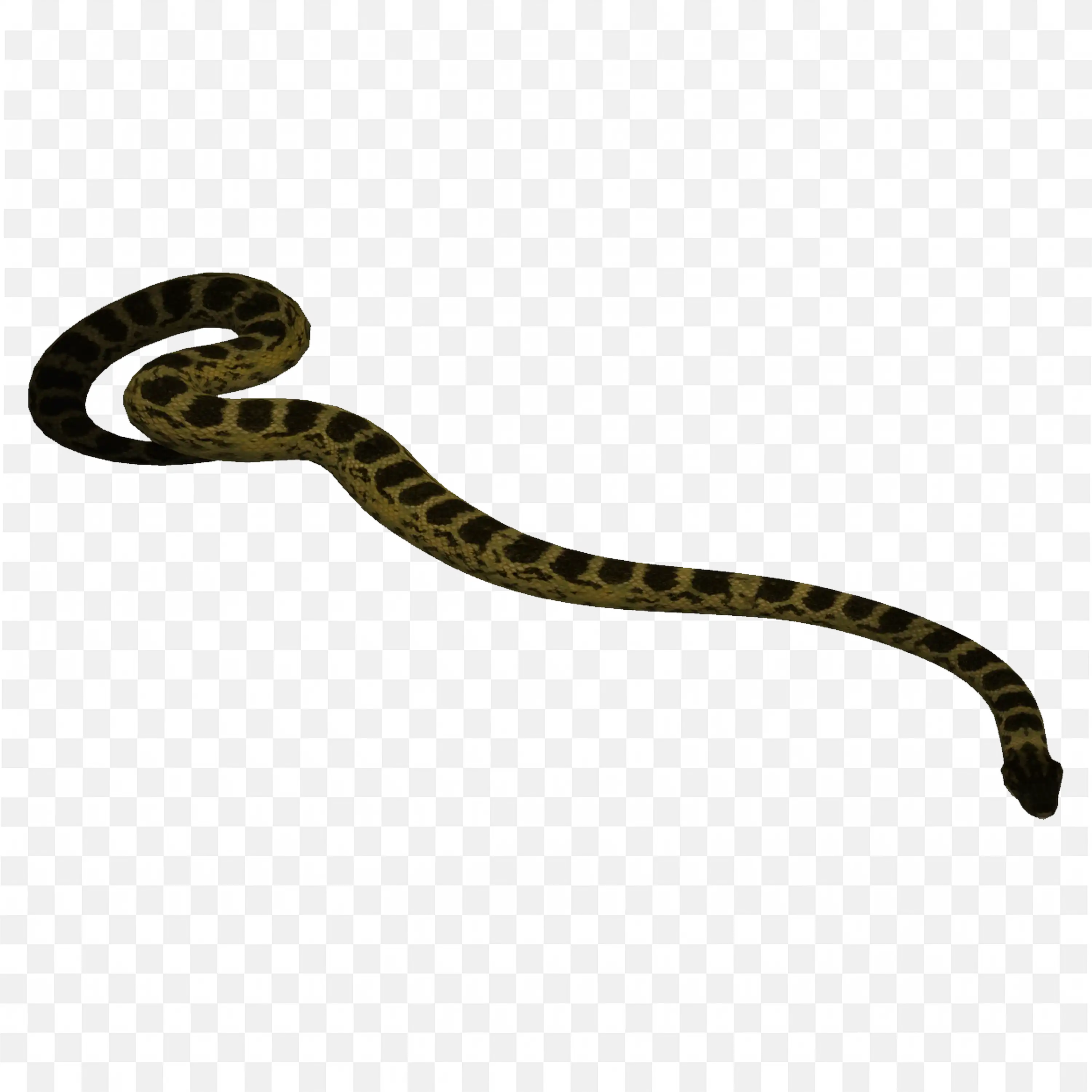 Curled Black Snake Clip Art Simple Nature Reptile Art