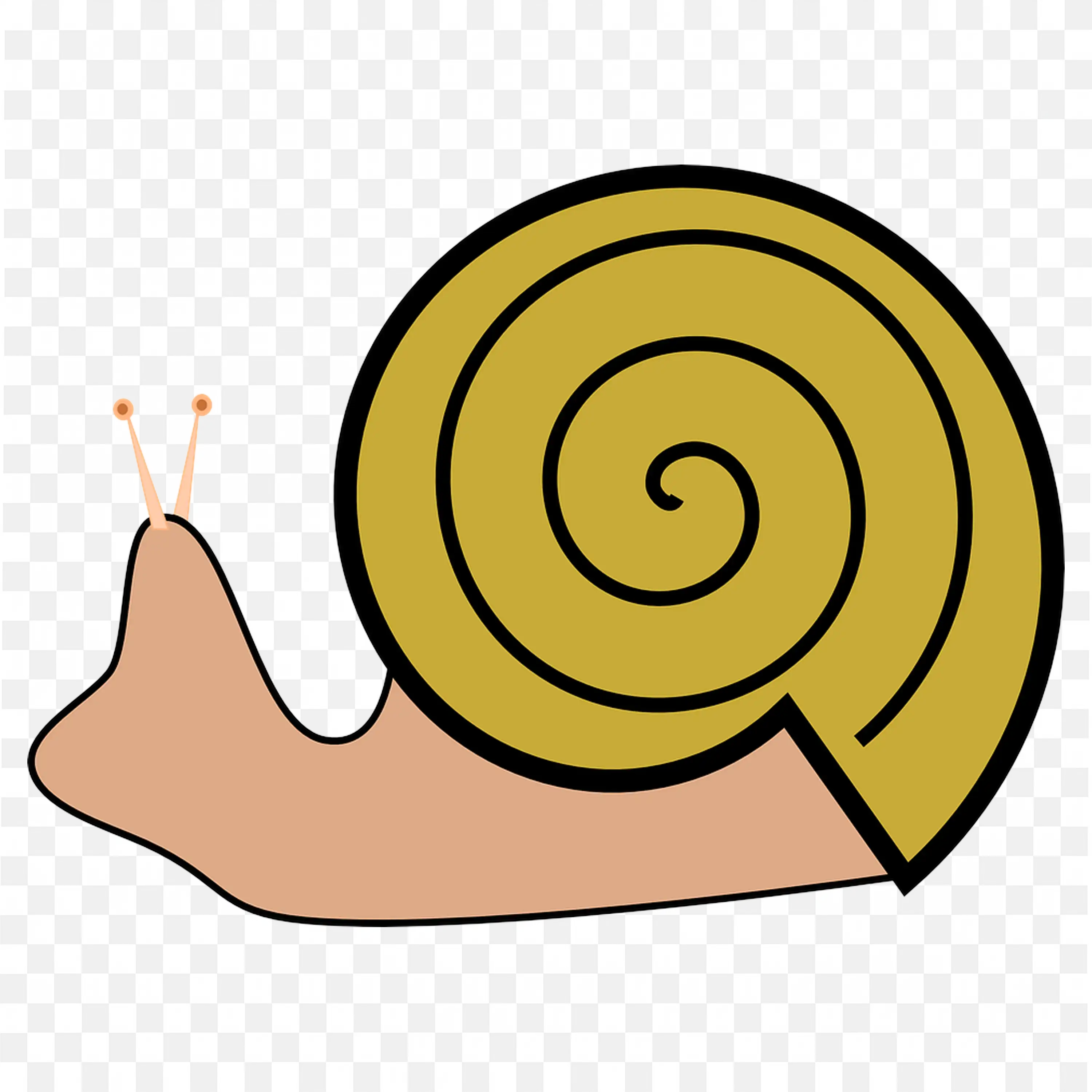 Cute Snail Side View with Big Spiral Shell Transparent