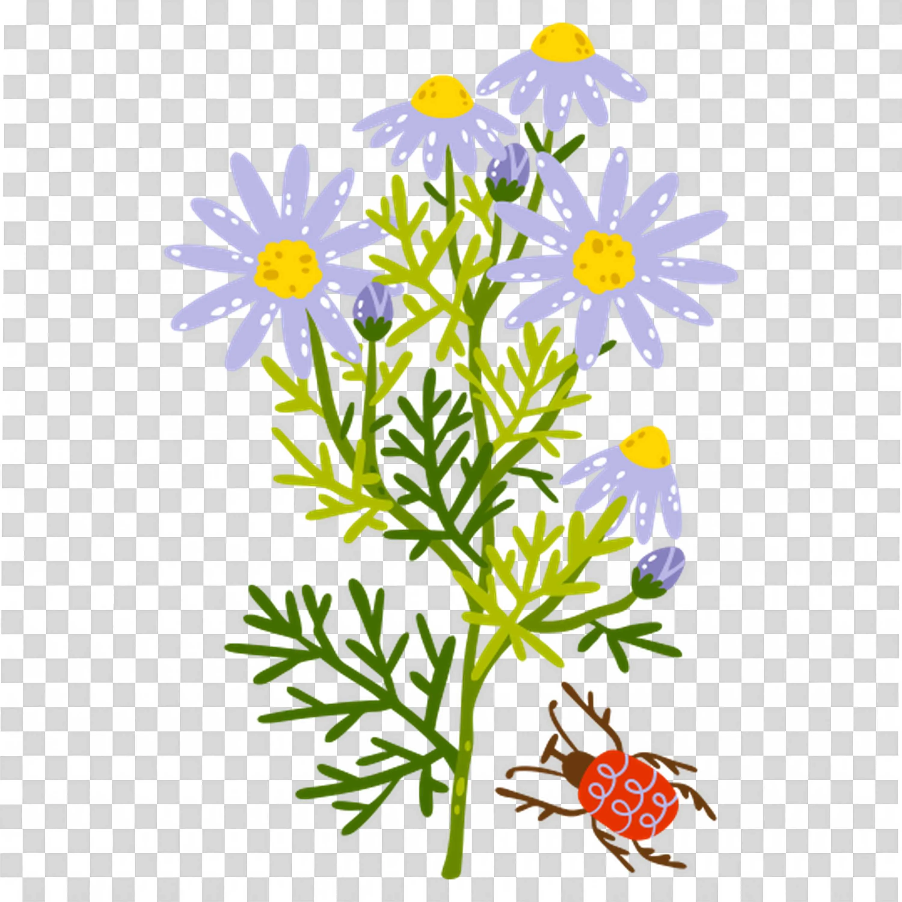 Detailed Wildflowers with Insects and Nature Elements