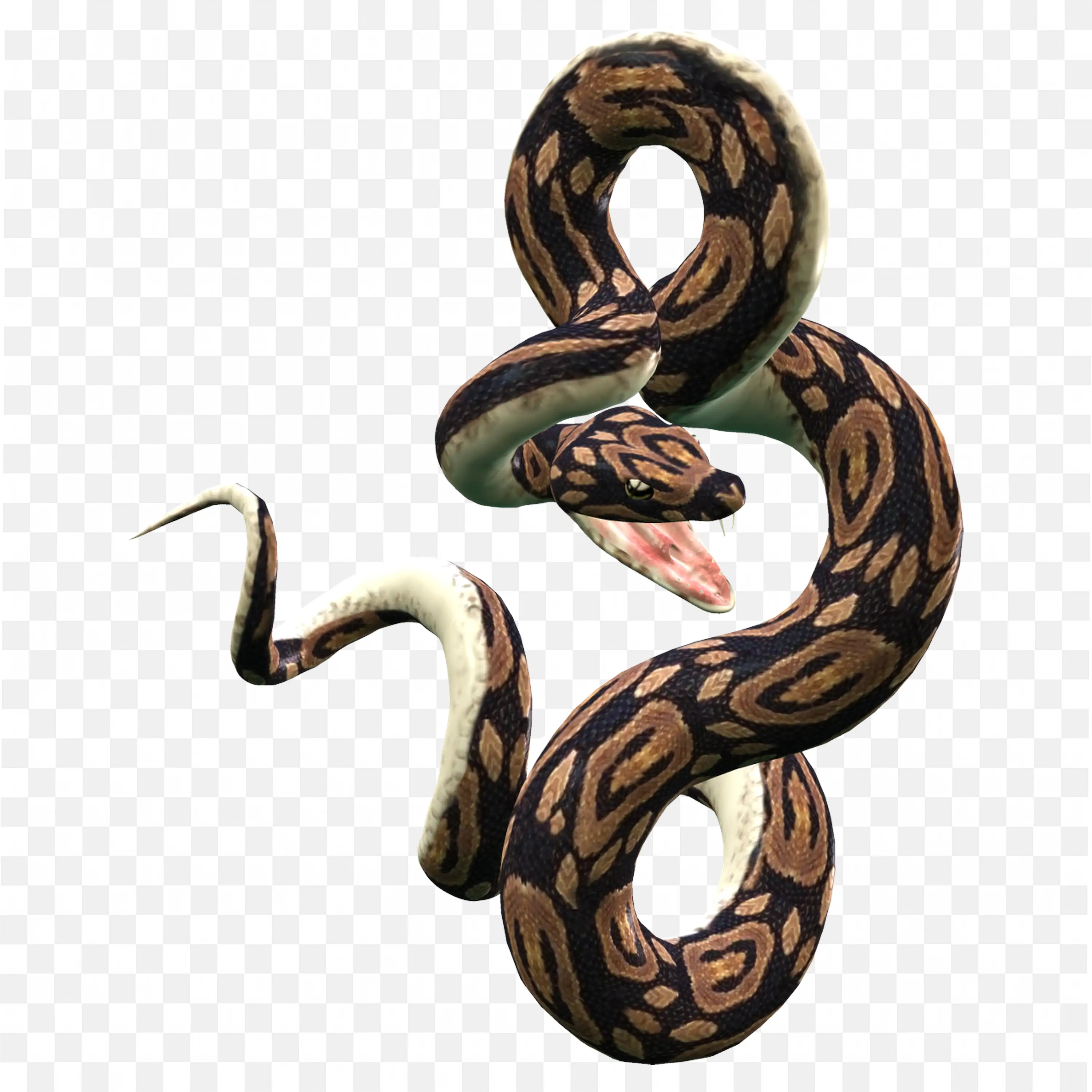 Double Coiled Snake Clip Art Jungle Nature Reptile Art