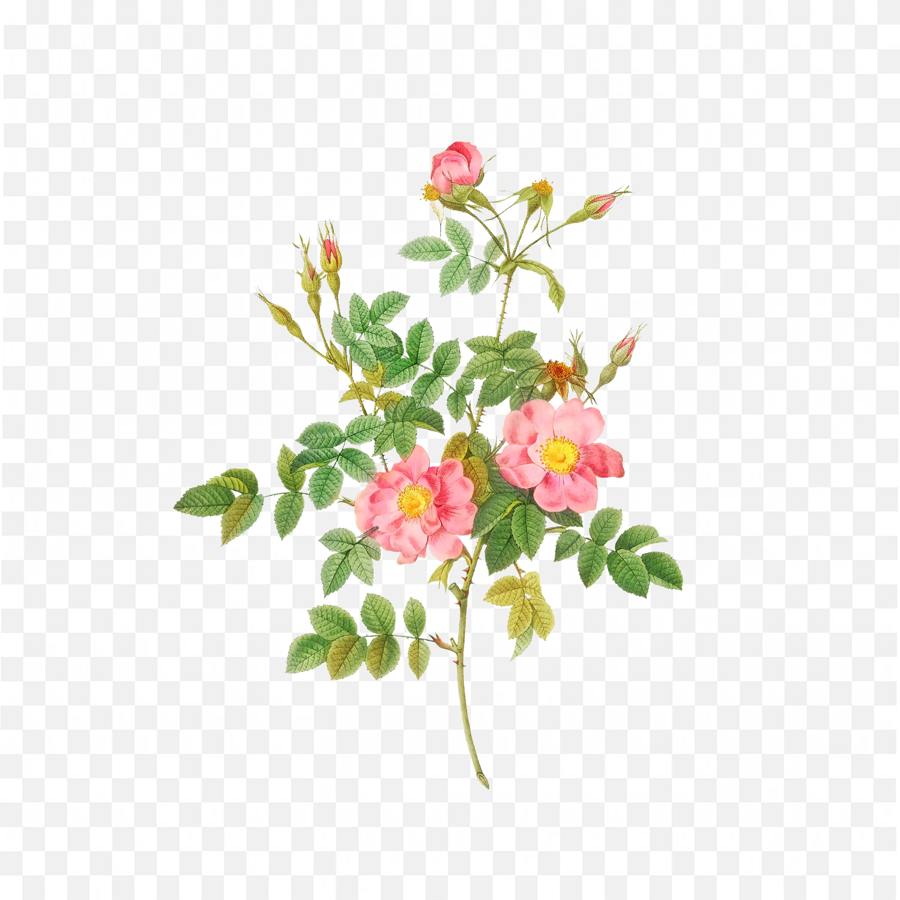 Elegant Green Branch with Red Flowers Botanical Art Design