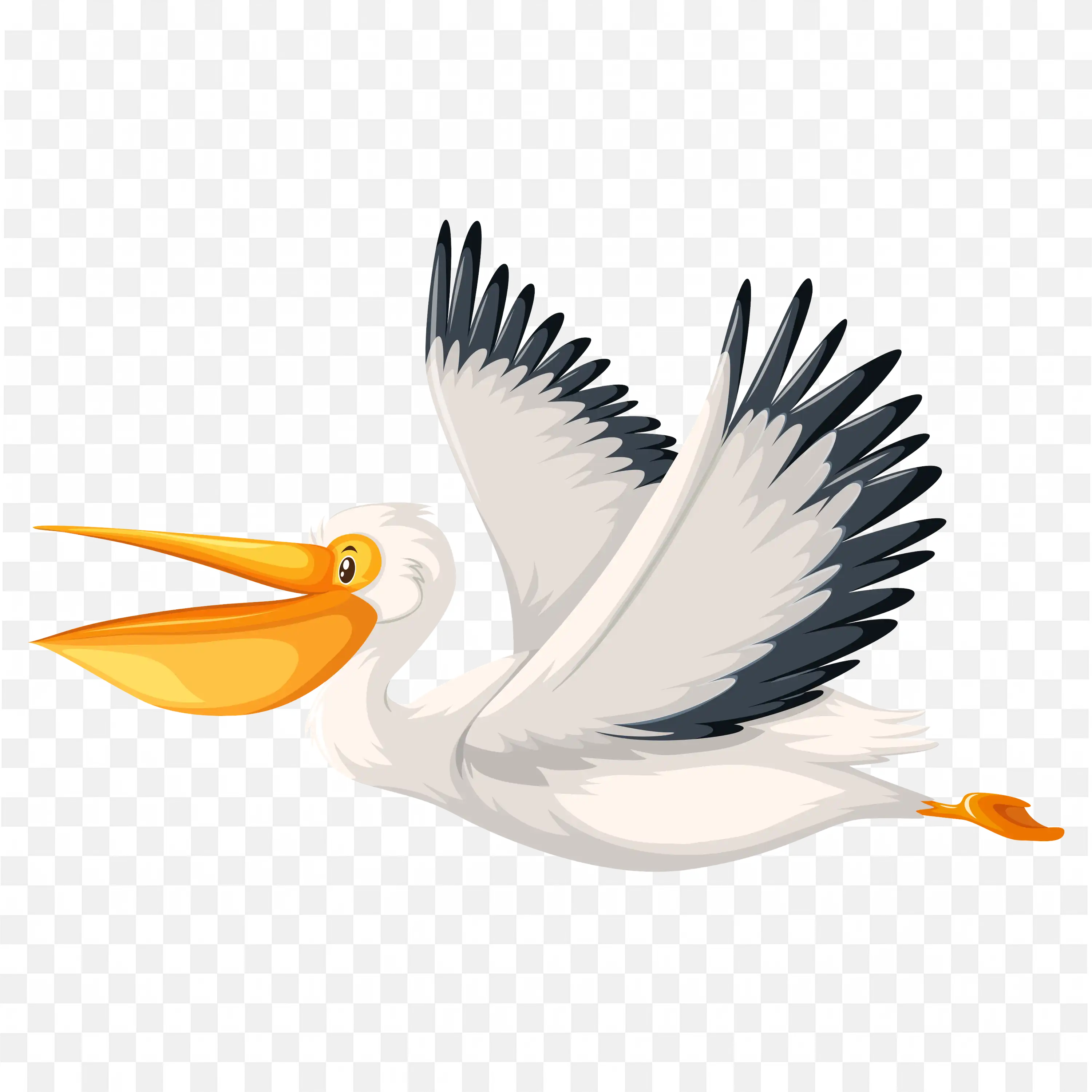 Flying Pelican Bird with Open Wings PNG Illustration