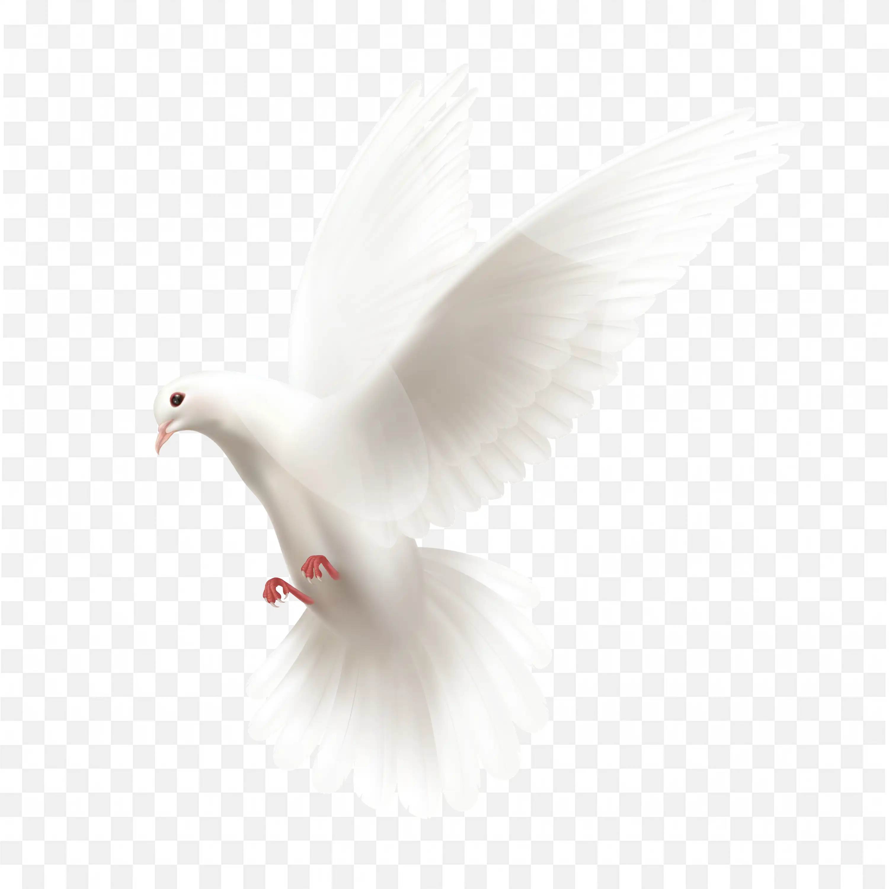 Free Flying Dove PNG White Background Bird Clipart Download