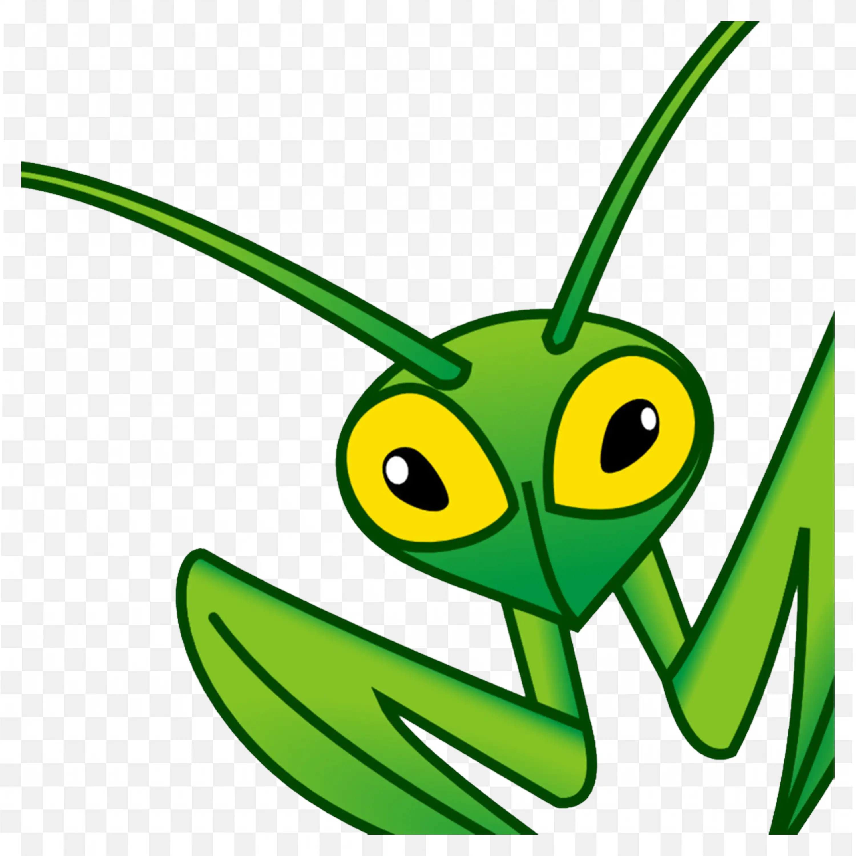 Funny Green Mantis Cartoon Face PNG Image Free