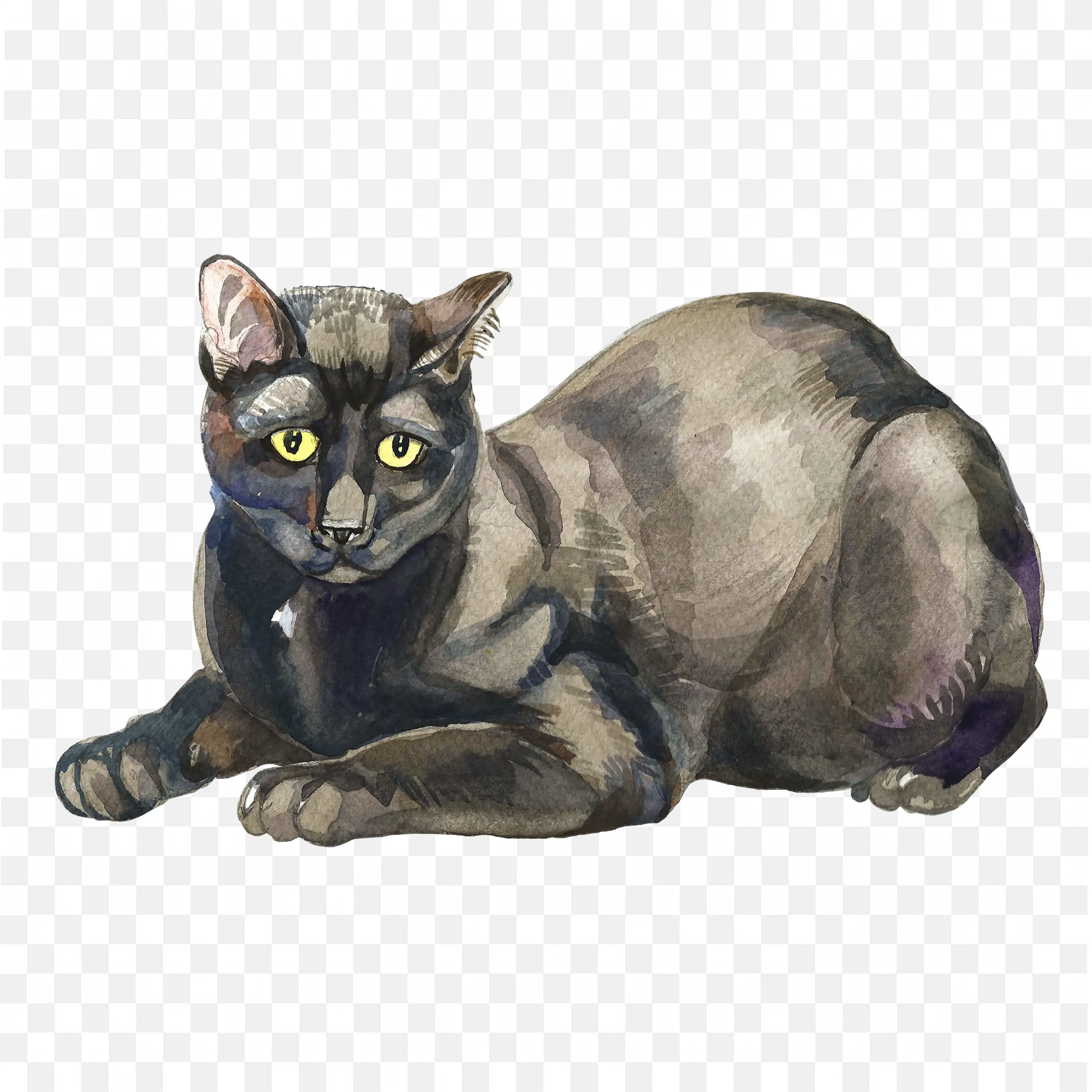Gray Cat Lying Down Calm Domestic Pet Transparent PNG