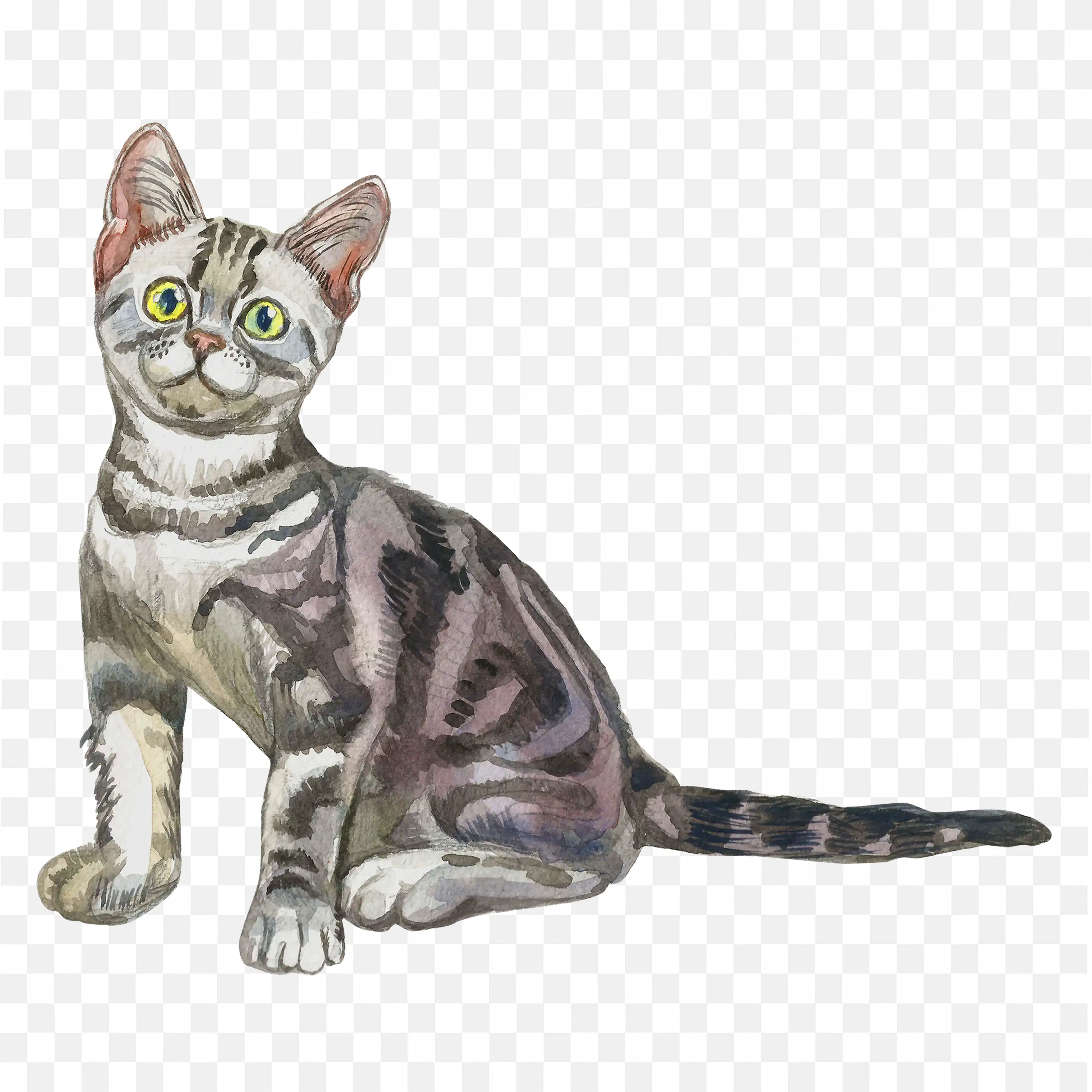 Gray Tabby Cat PNG Nature Clip Art Domestic Cat Sitting Pose