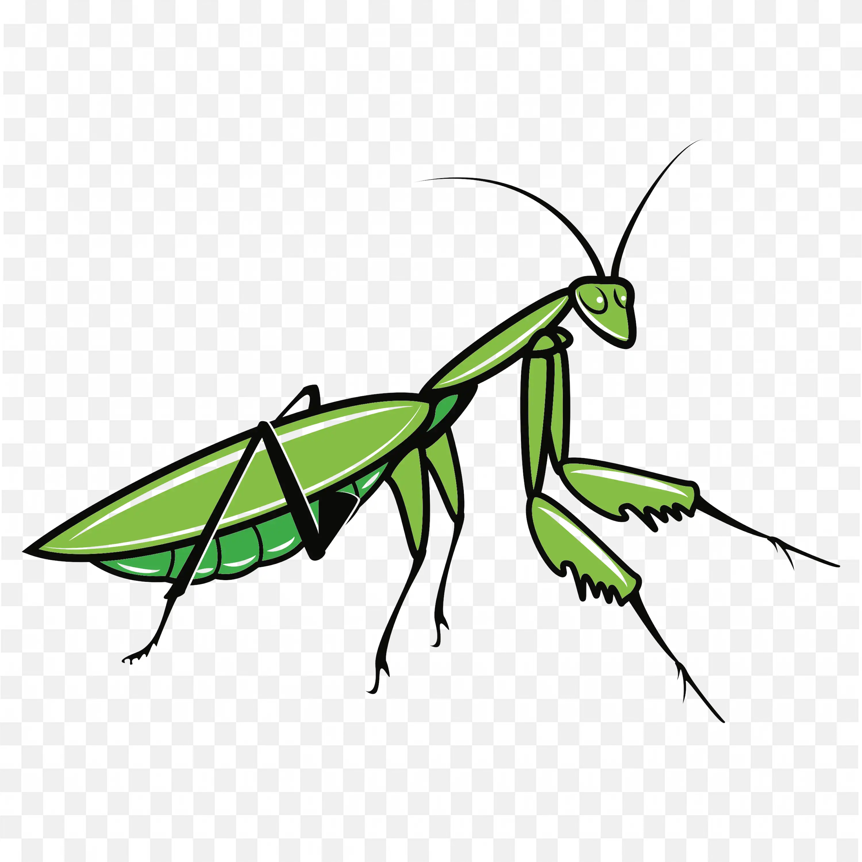Green Cartoon Mantis PNG Vector Image Free Download