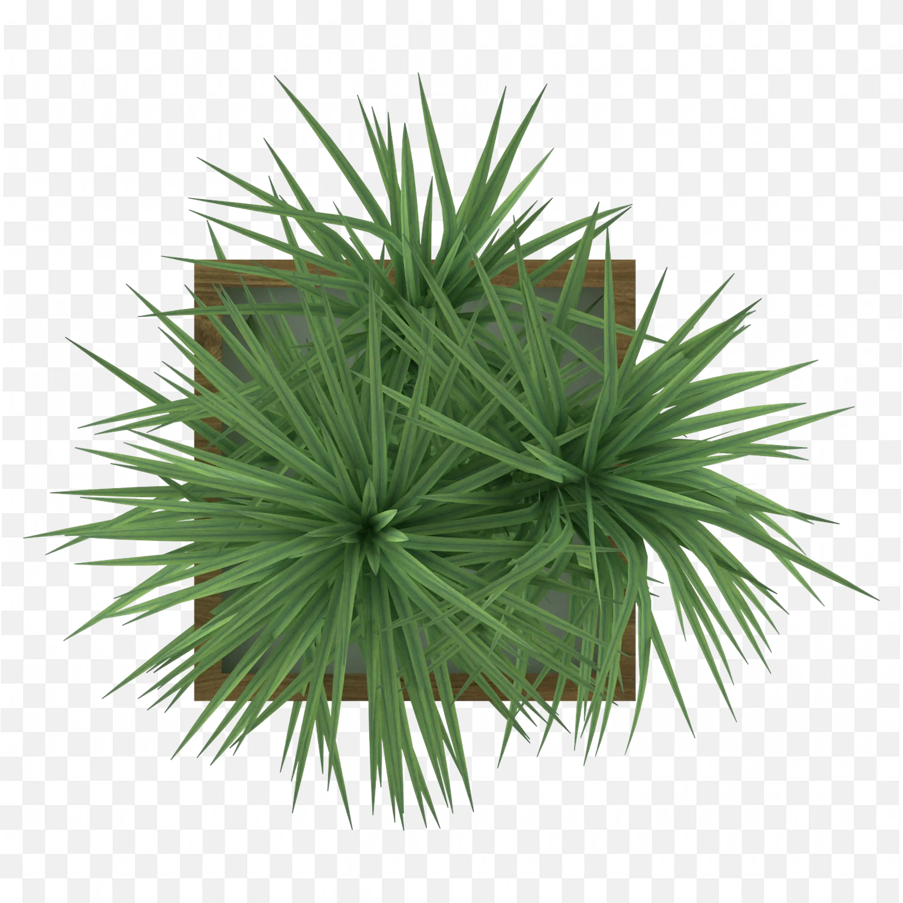 Green Palm Leaves Tropical Plant Illustration Nature Art