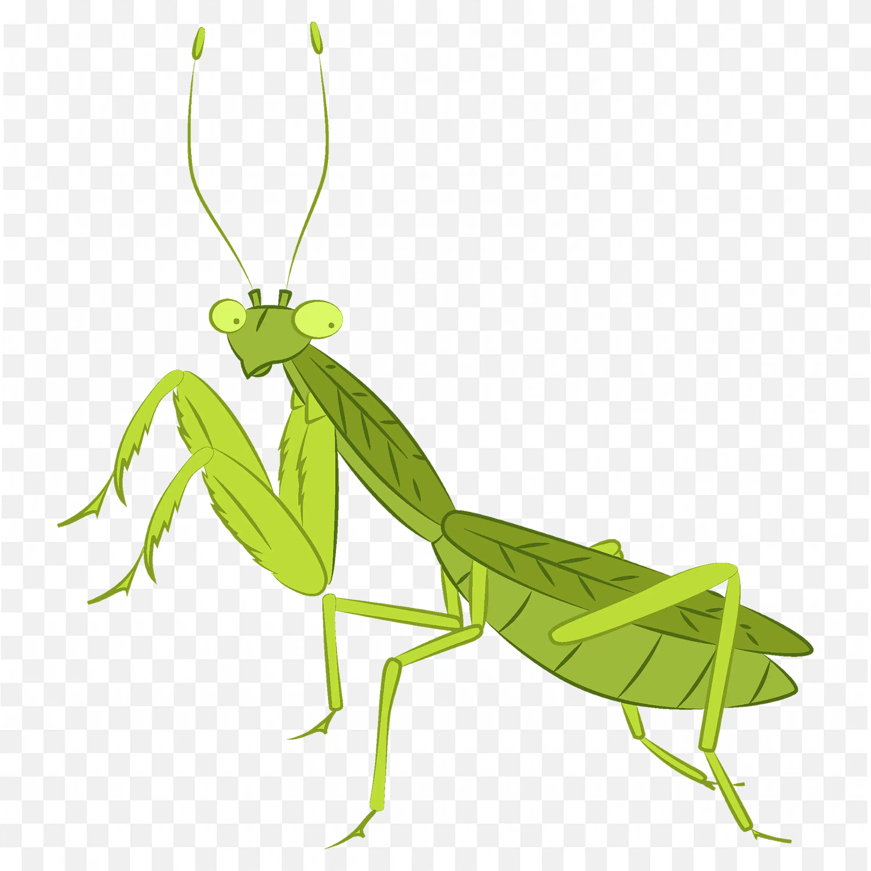 Green Praying Mantis PNG Hunting Stance Vector Download