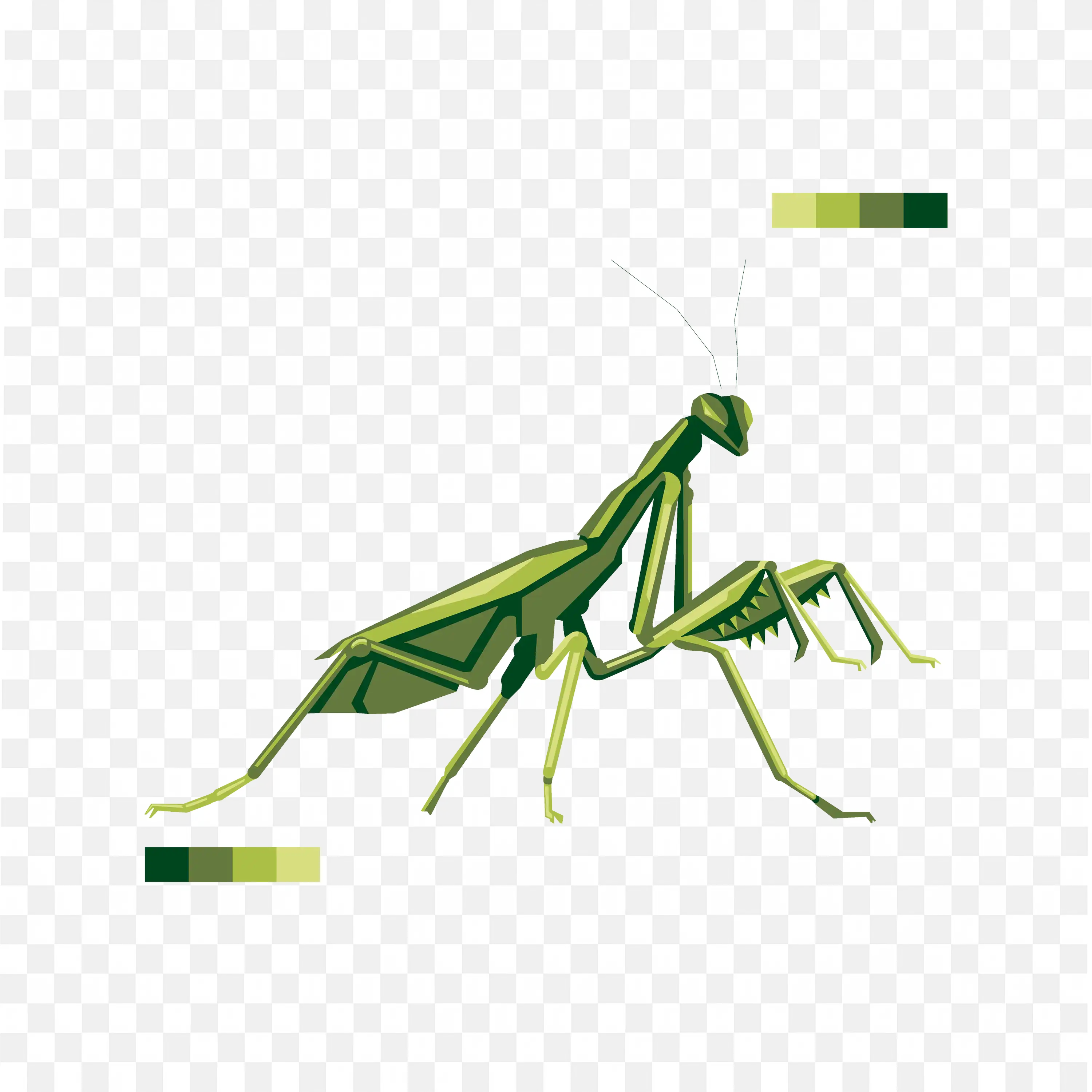 Green Praying Mantis Side PNG Vector Image Download