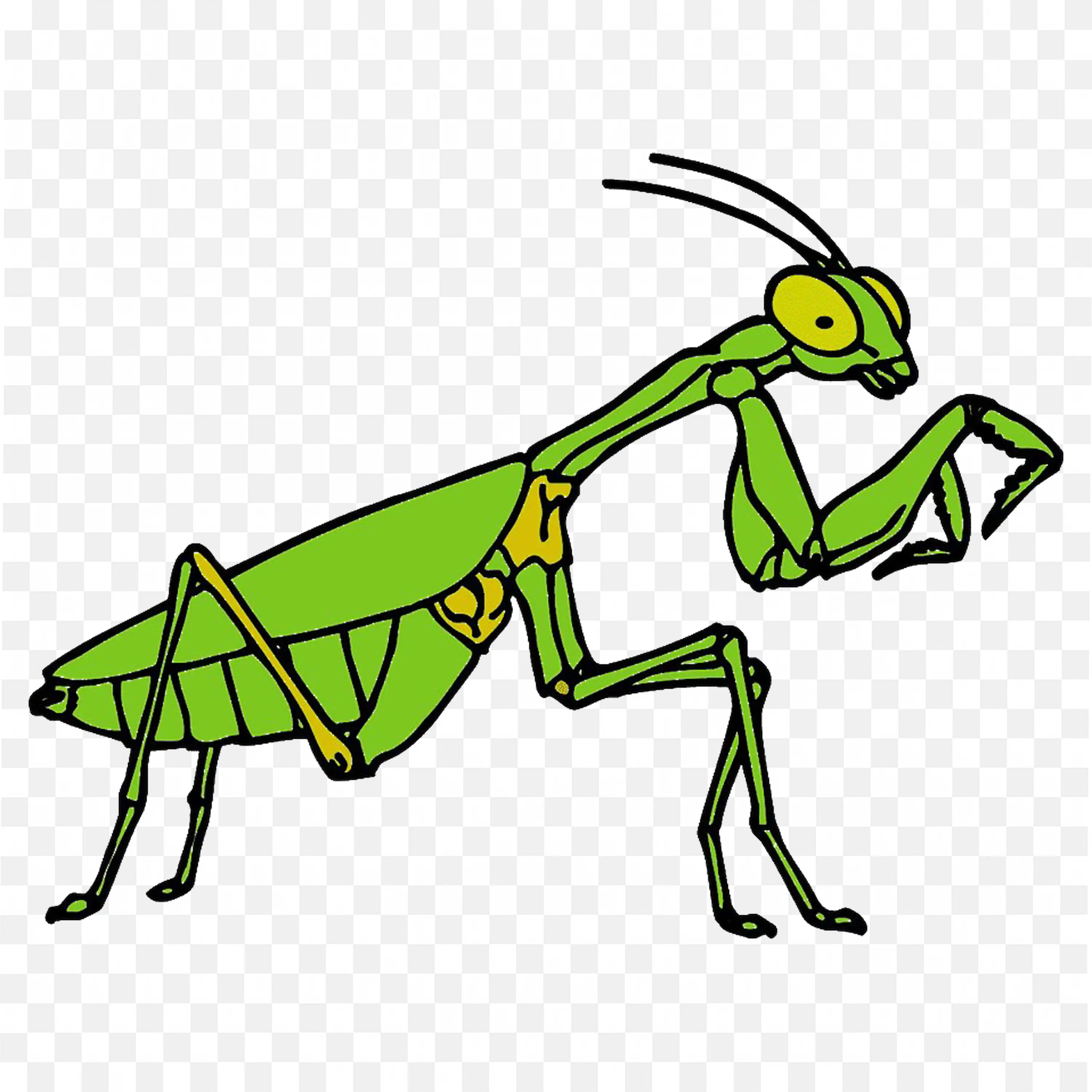 Green Praying Mantis PNG Walking Pose Vector Download