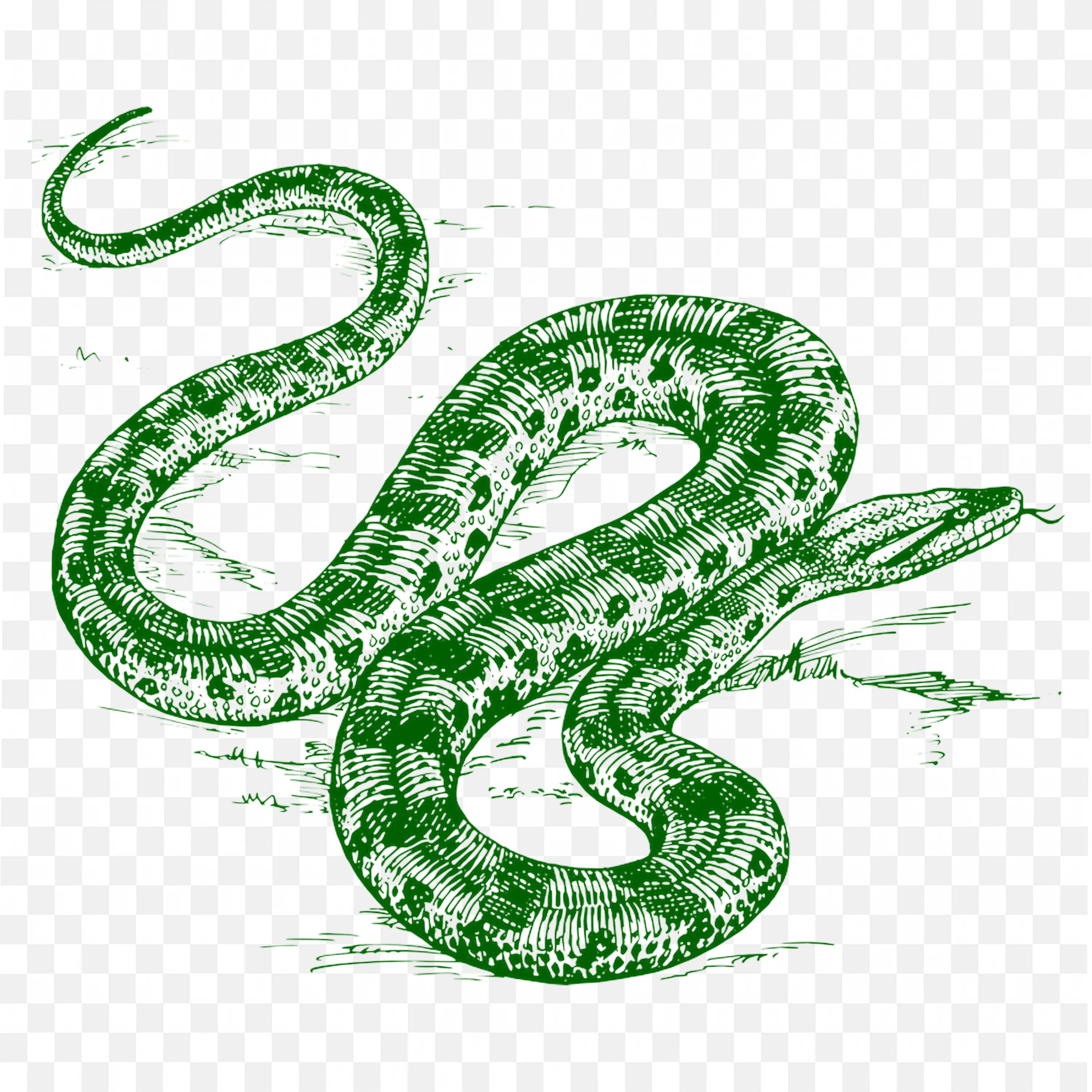Green Snake Clip Art Patterned Reptile Jungle Nature Art