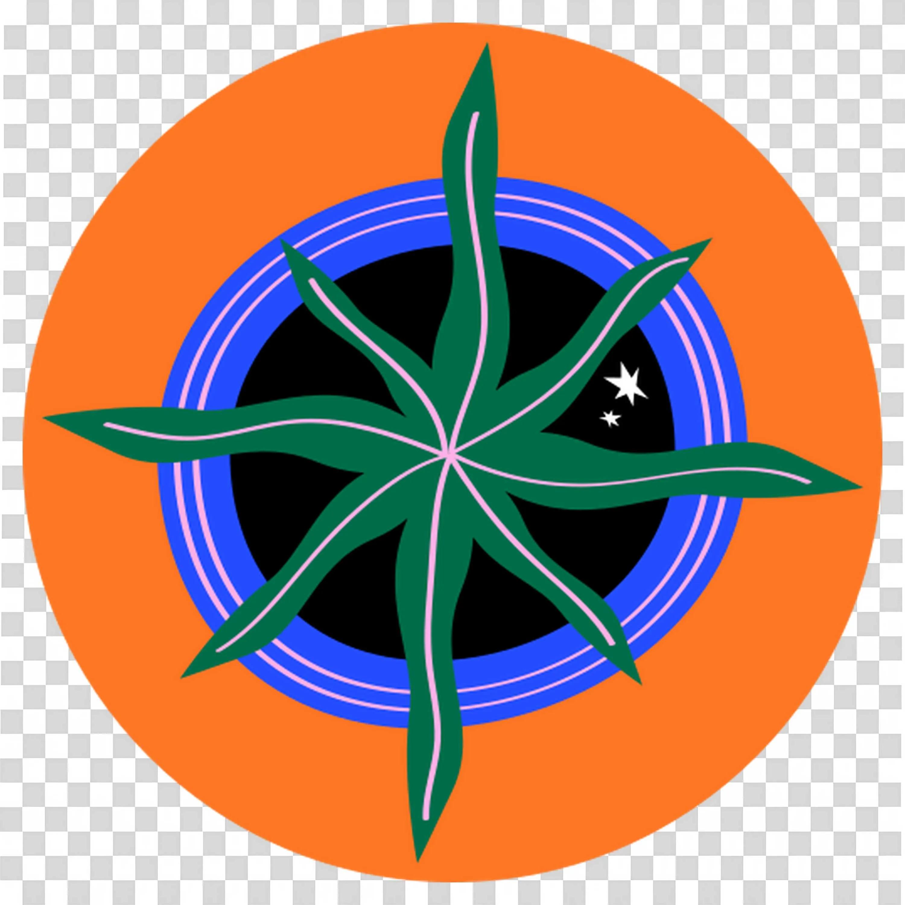 Green Spiky Plant in Blue and Orange Circular Pot PNG
