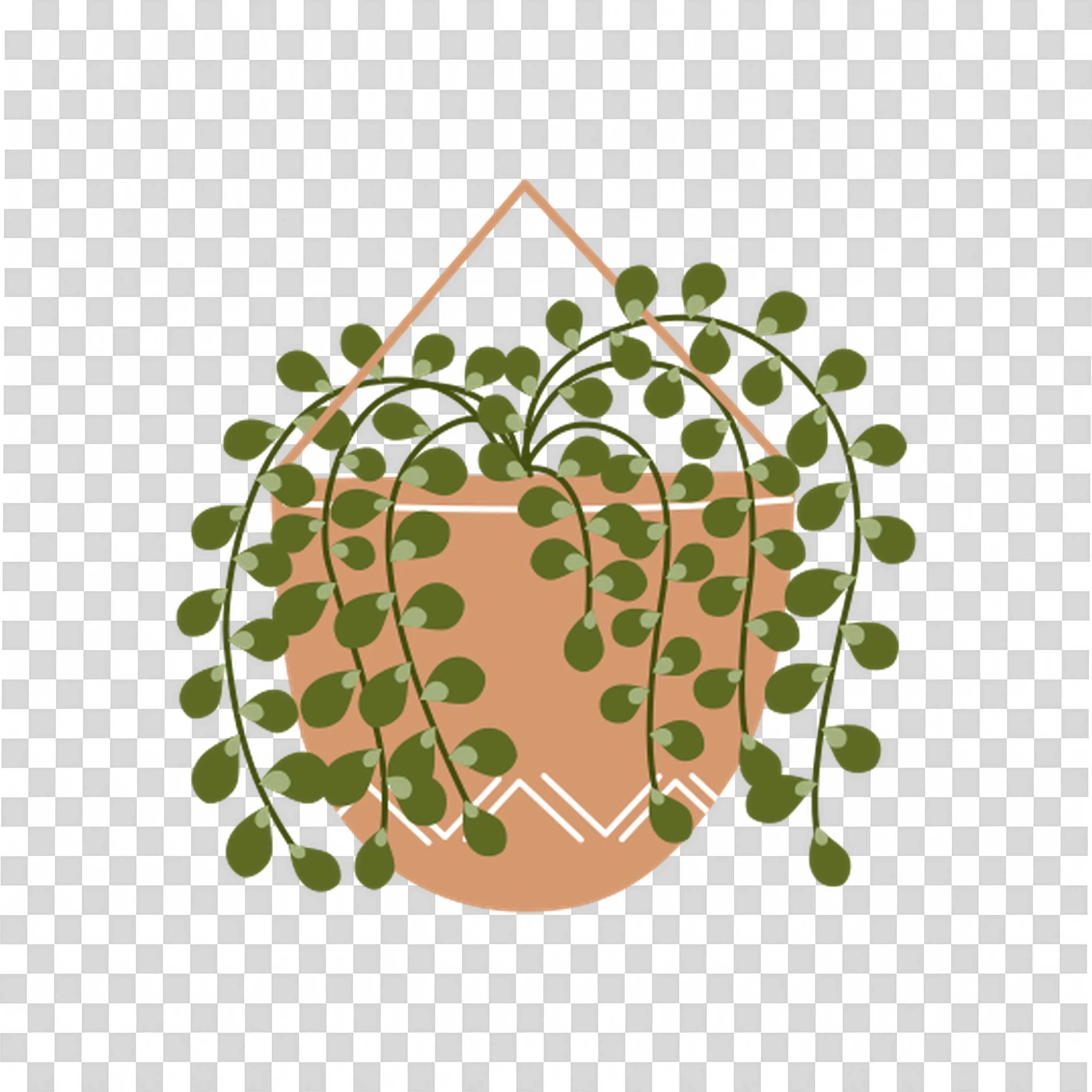 Hanging Plant with Green Leaves in Brown Basket Free PNG