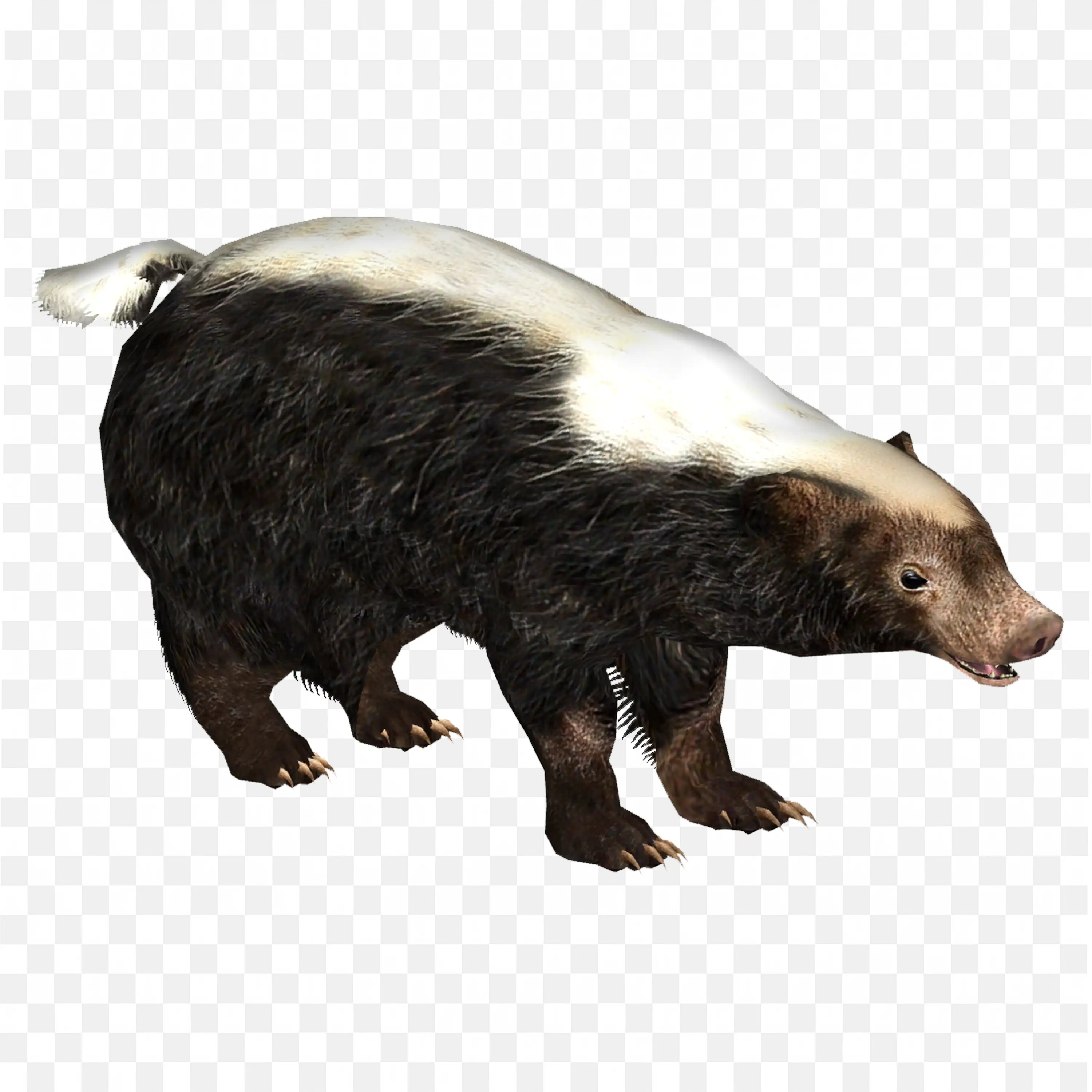 Honey Badger Standing PNG Ferocious Animal Artwork