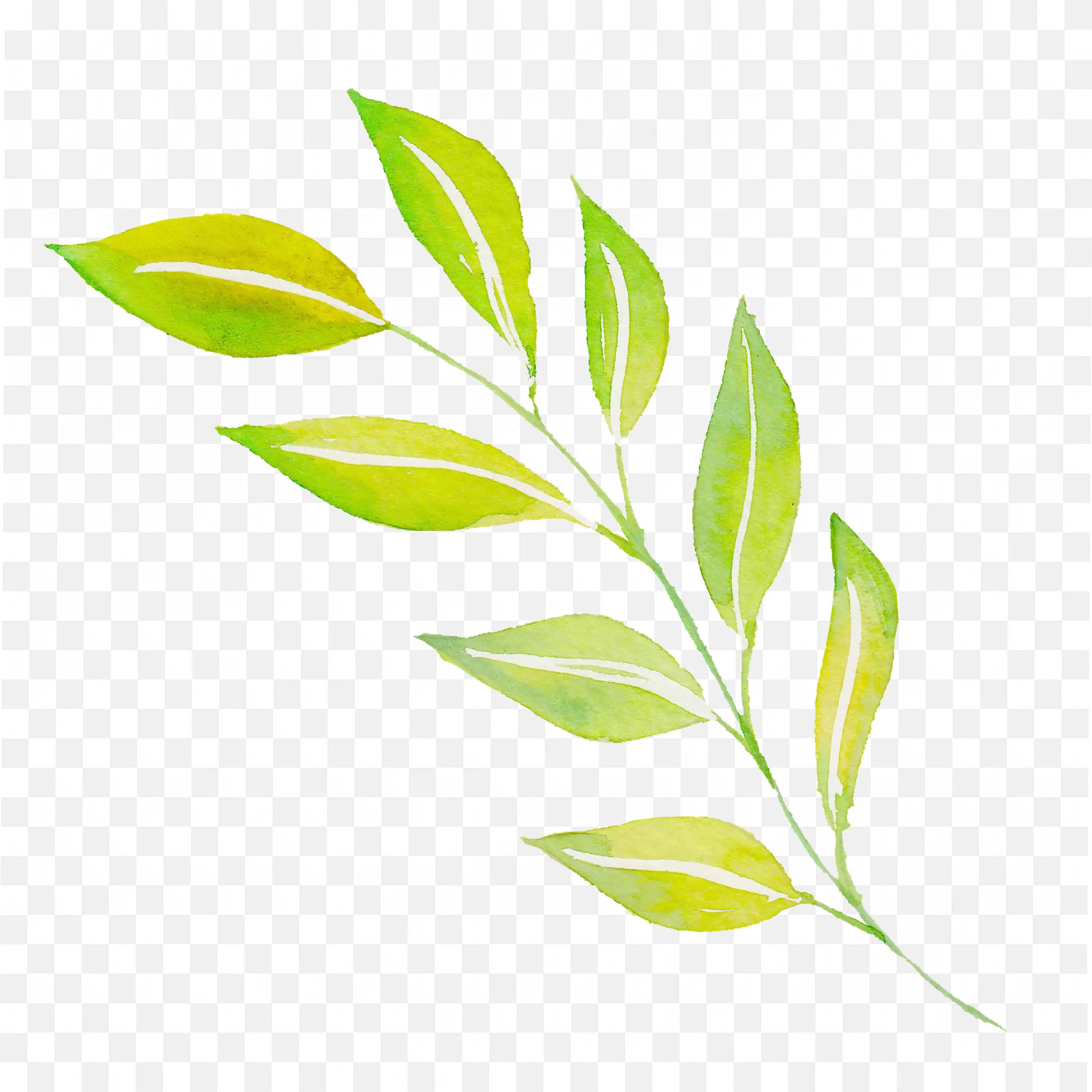Leaf Stem Branch Bright Green Natural PNG Illustration