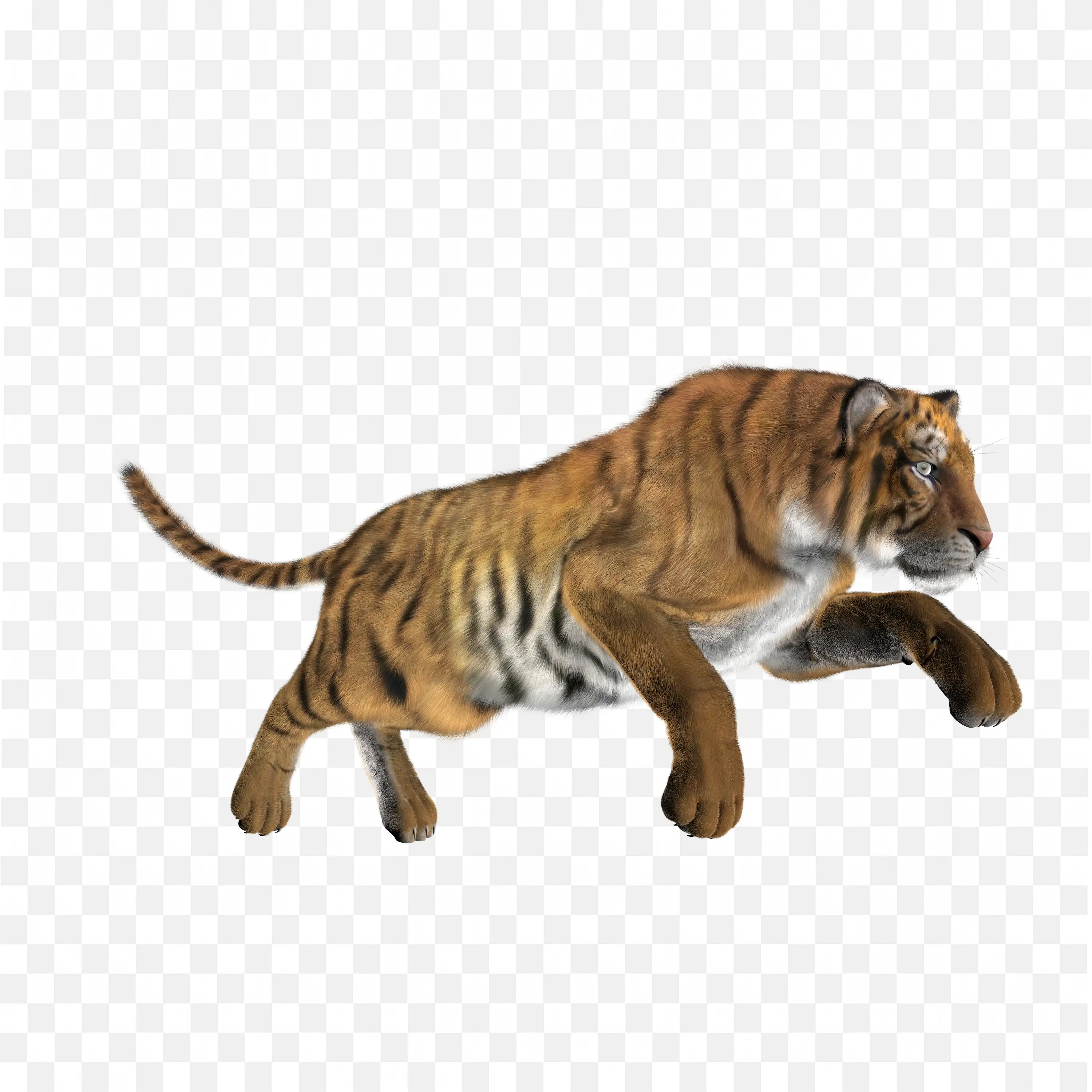 Leaping Tiger Illustration Dynamic Jumping Action Pose PNG