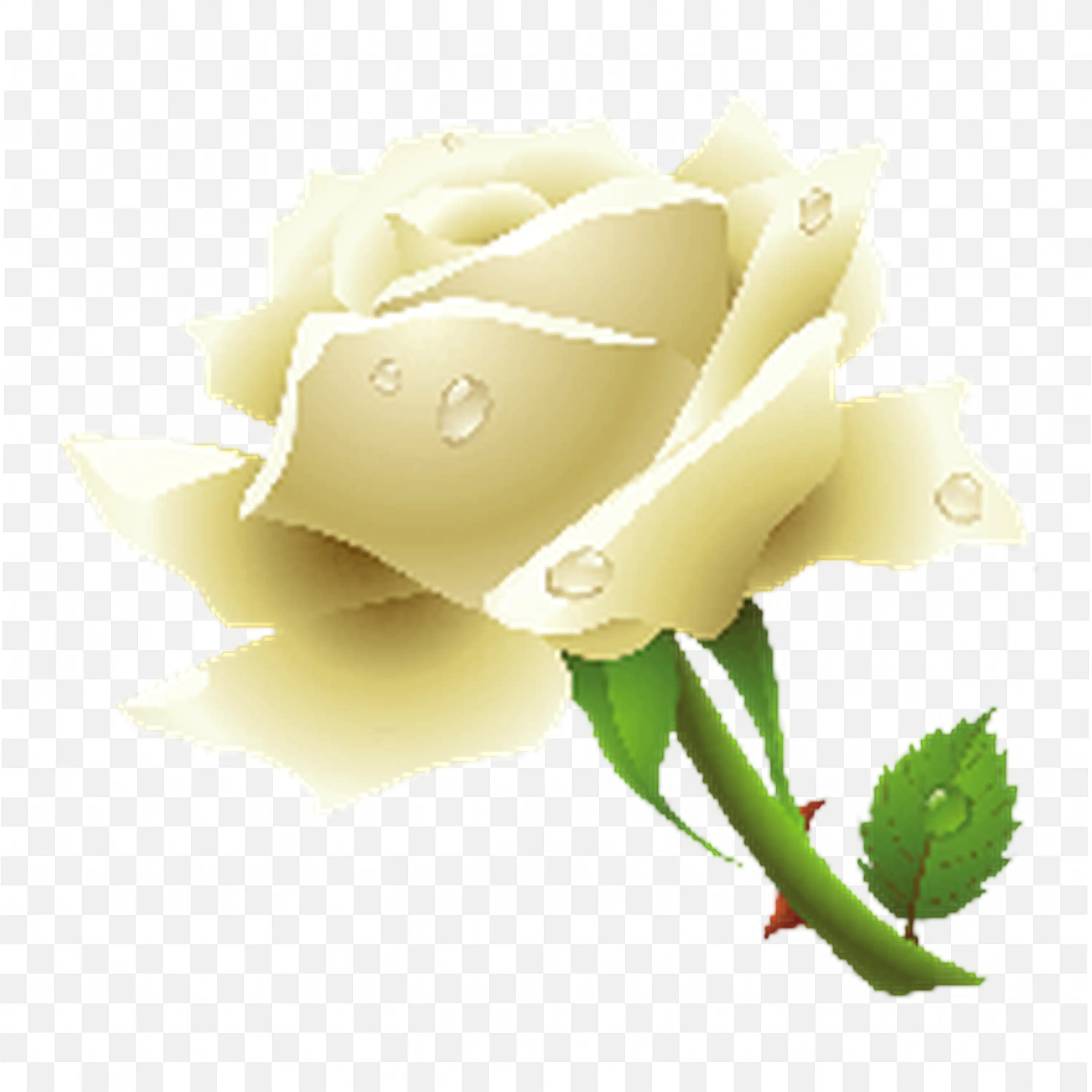 Light Yellow Rose in Bloom Realistic Flower Illustration