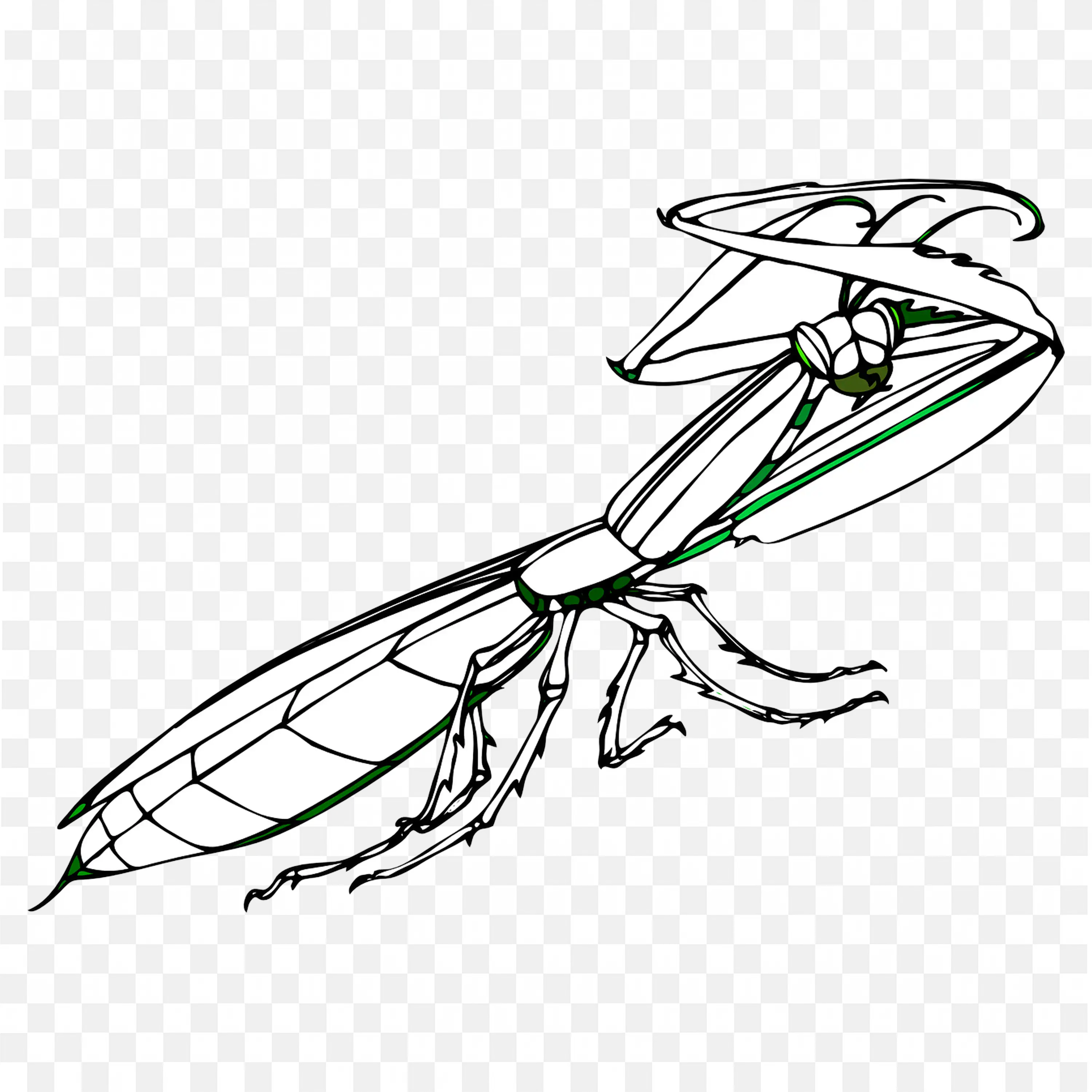 Line Art Praying Mantis Sketch PNG Image Download