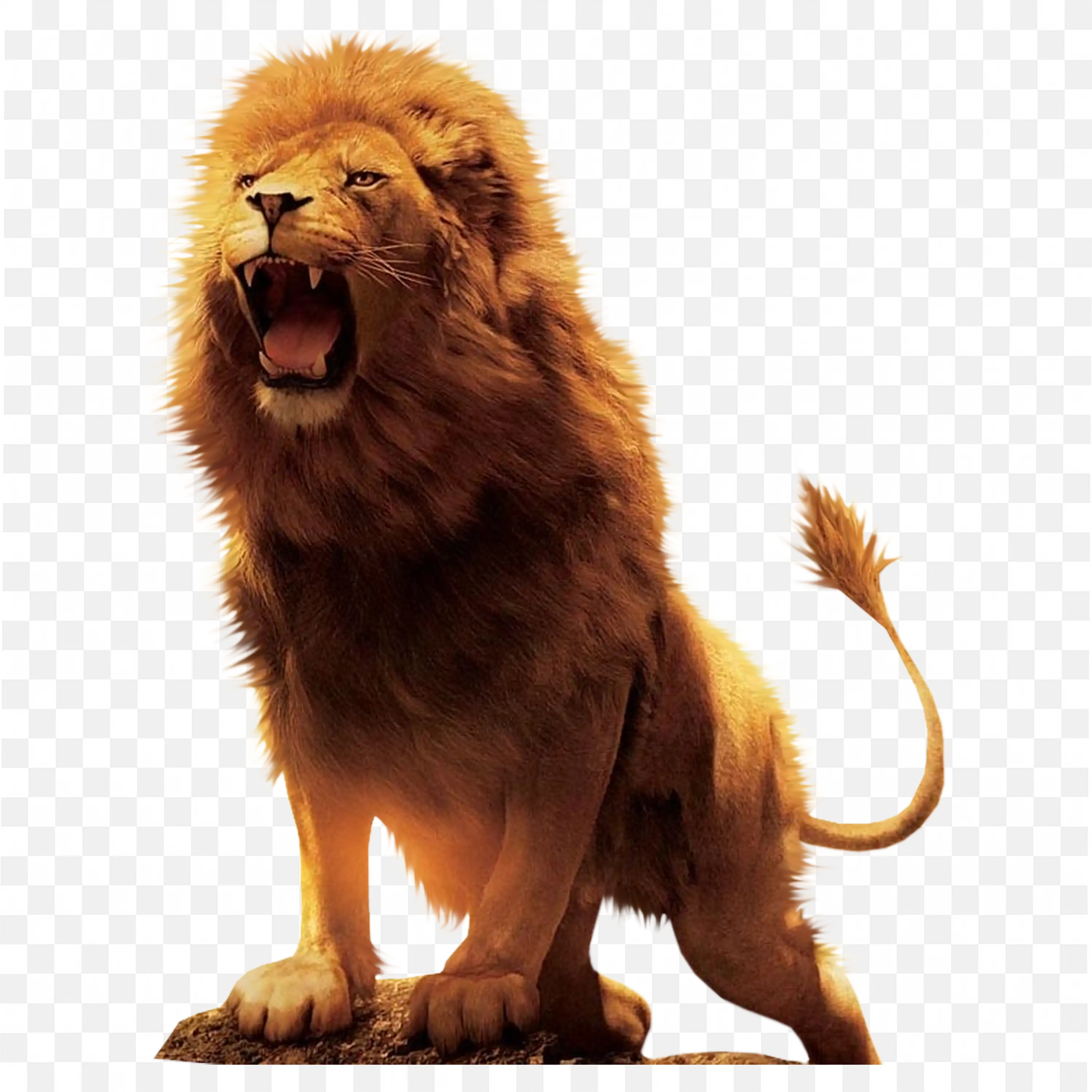 Majestic Lion Animal PNG Image Free Download for Personal Use