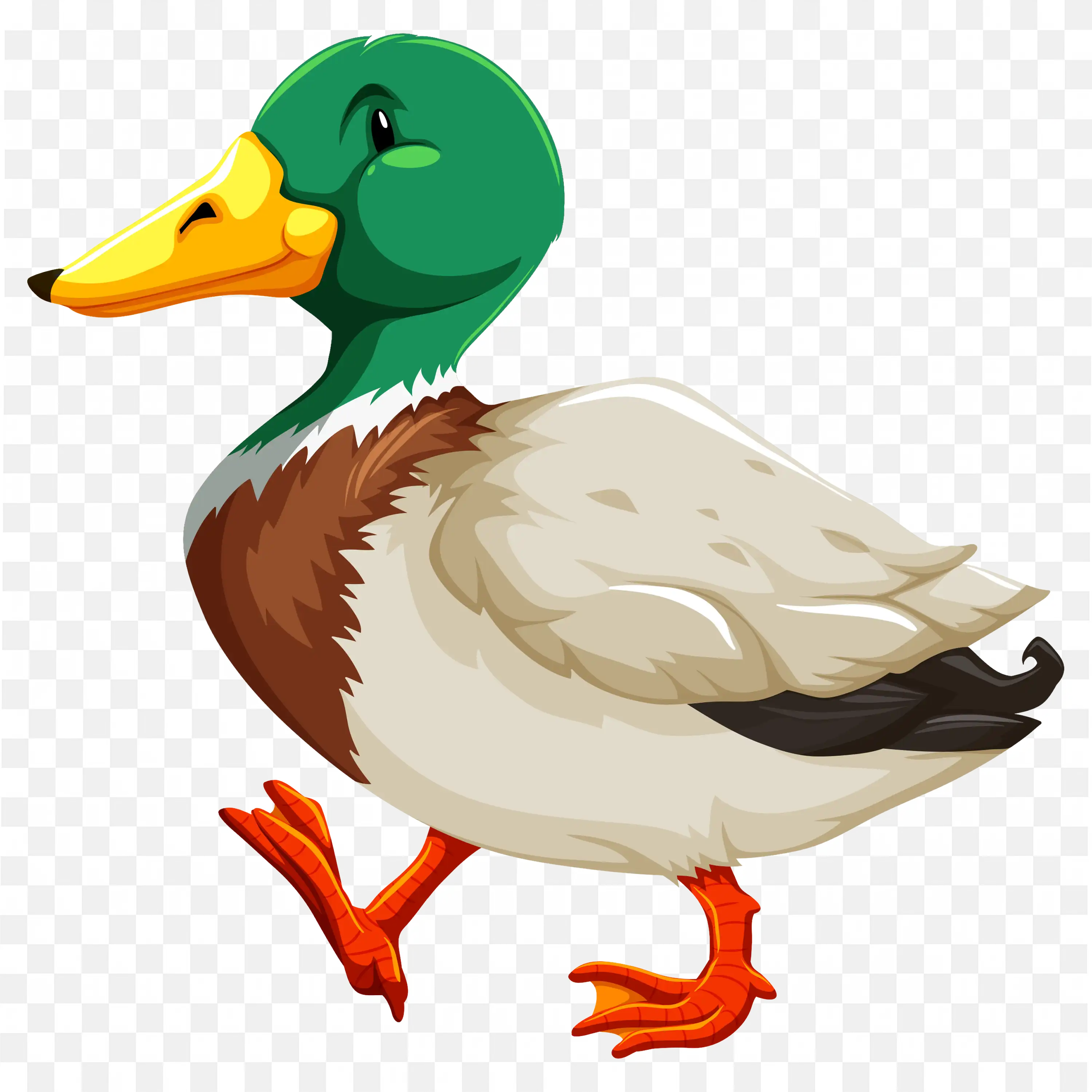 Mallard Duck with Green Head Walking PNG Art