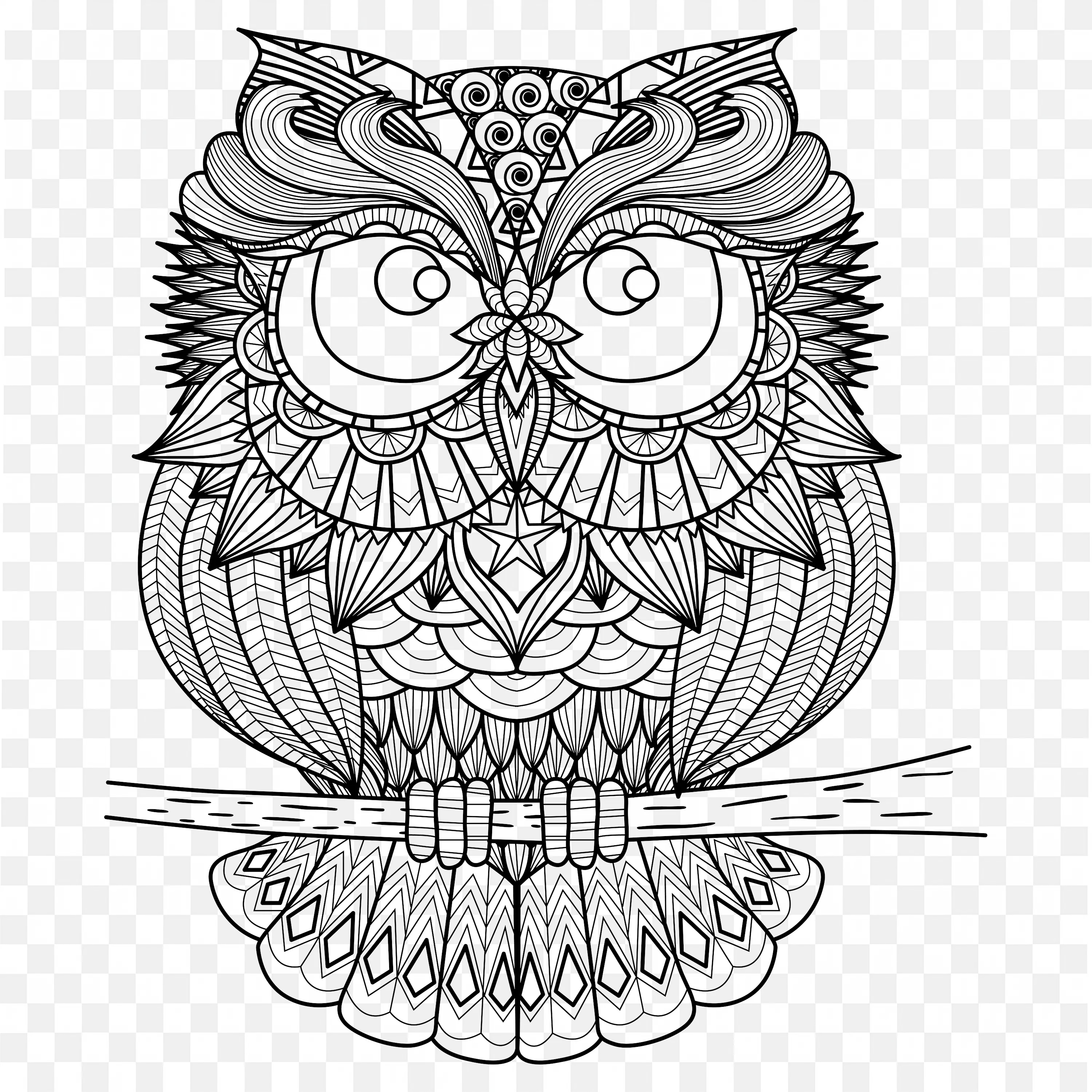 Mandala Owl PNG Bird Animal Line Art Nature Clip Drawing Design