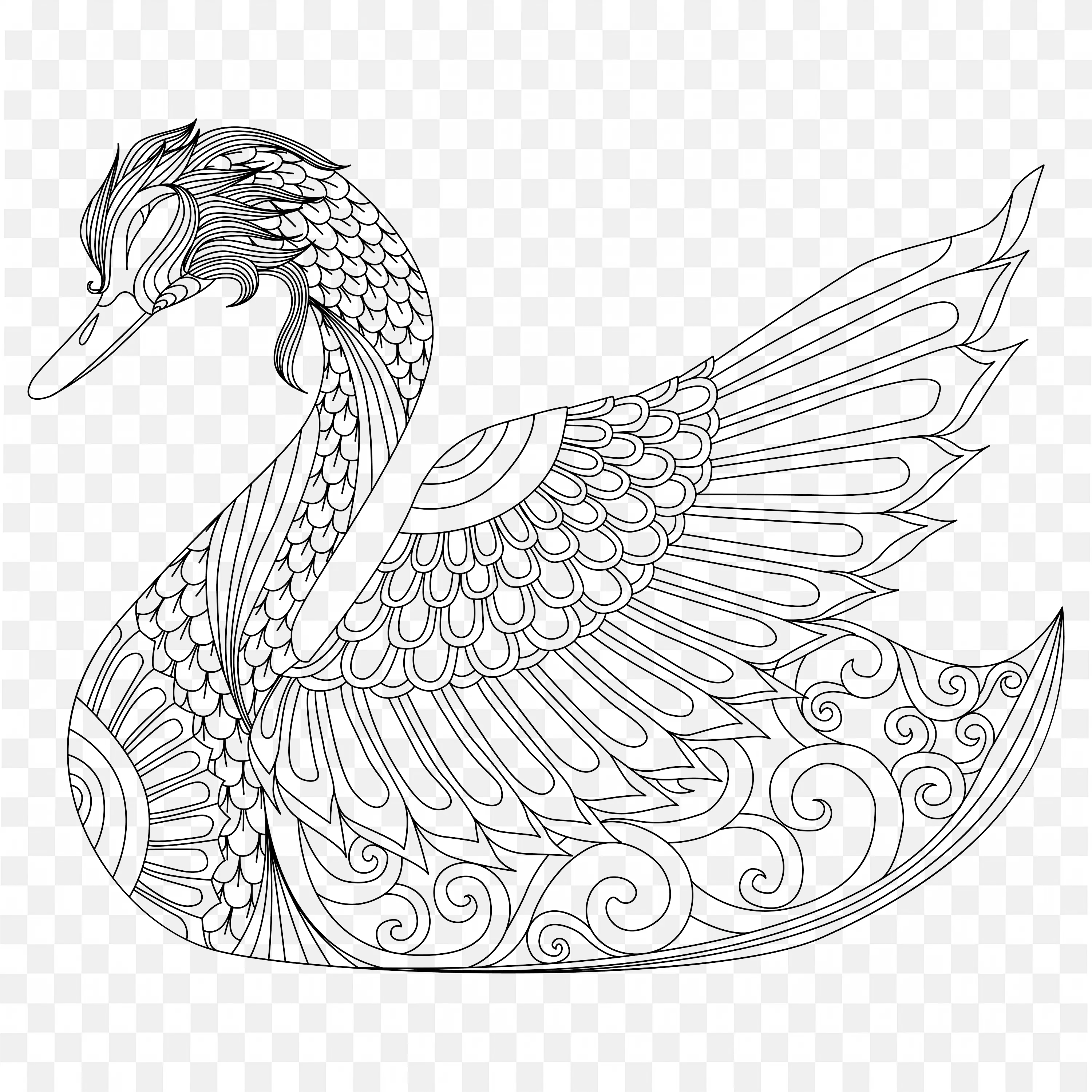 Mandala Swan PNG Bird Animal Line Art Nature Clip Drawing
