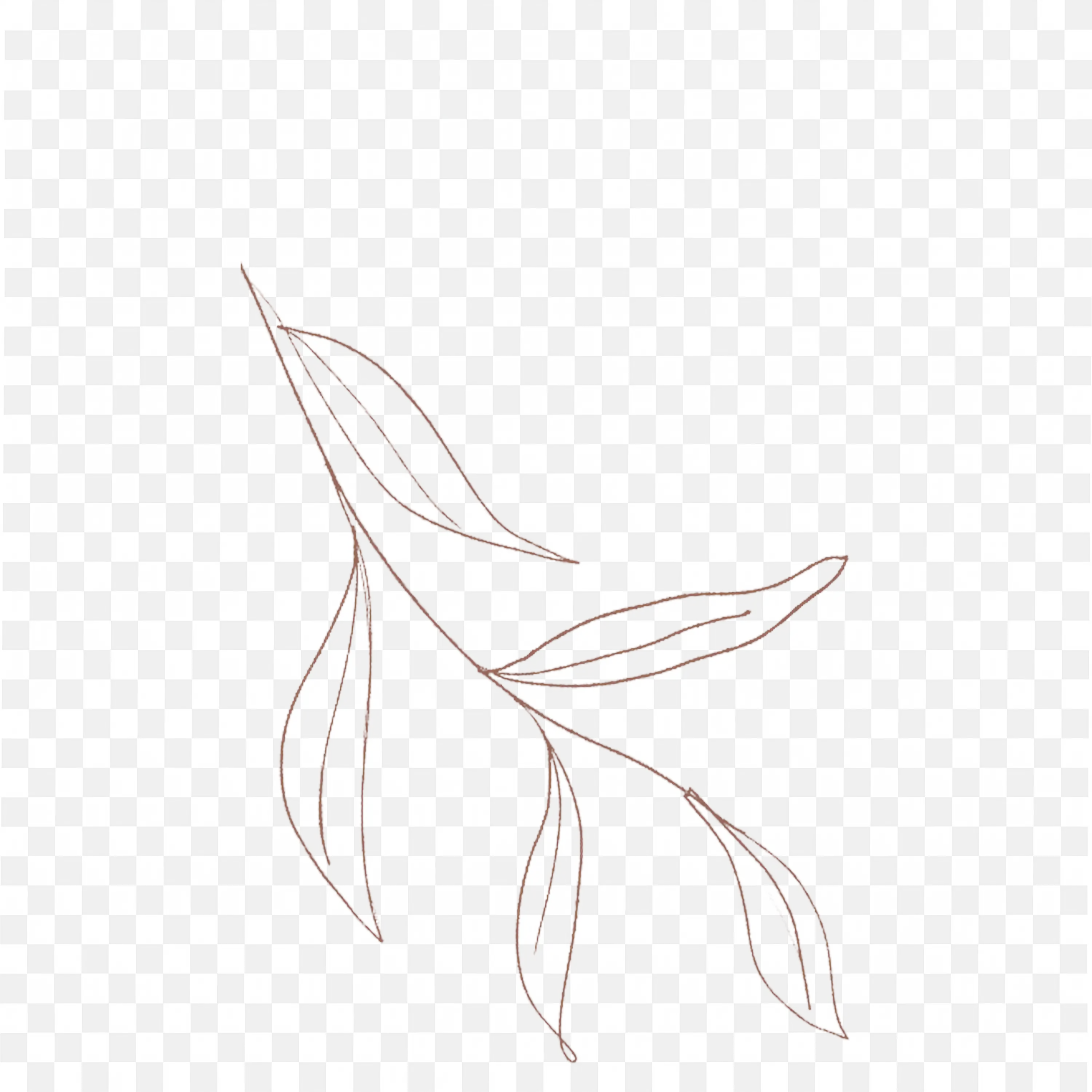 Minimal Leaf Botanical Line Art Elegant Nature Illustration