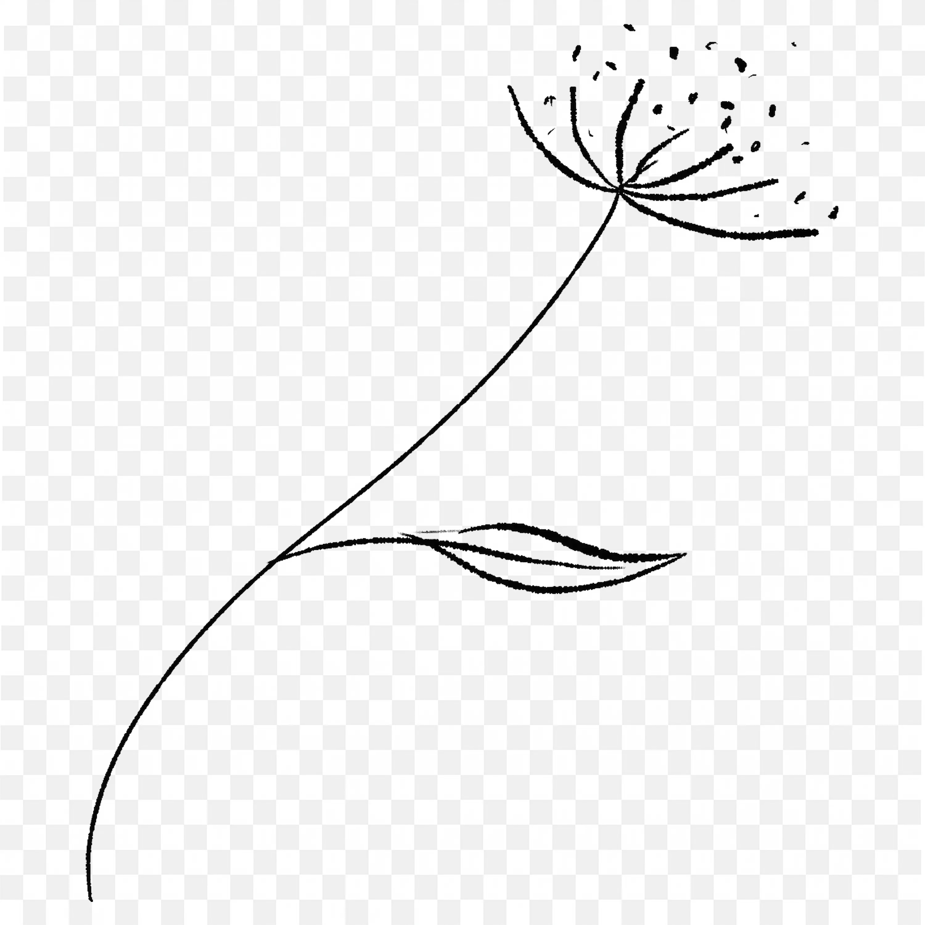 Minimal Line Art of Wildflower Plant Elegant Botanical Sketch