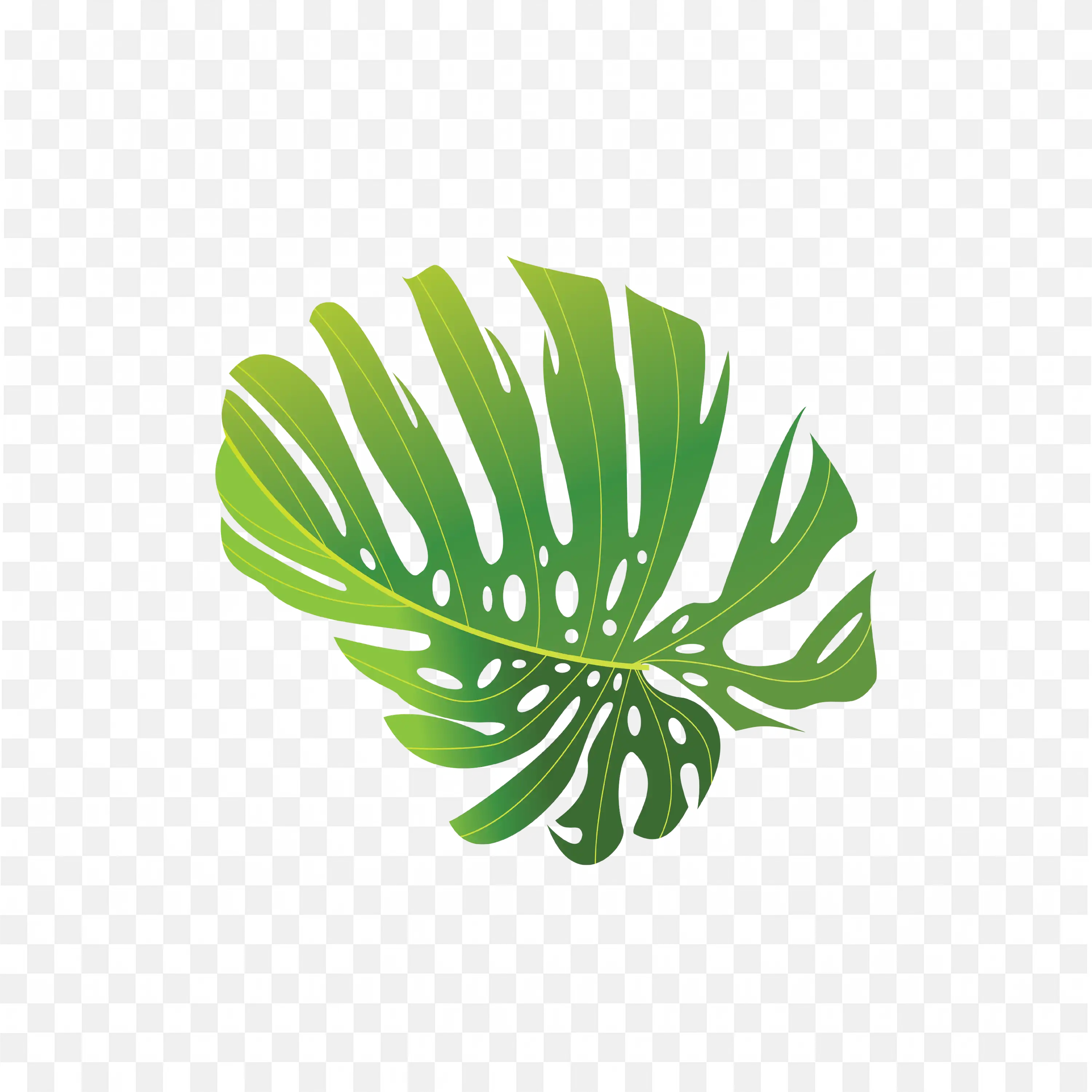 Monstera Leaf PNG Tropical Green Leaf Isolated on White