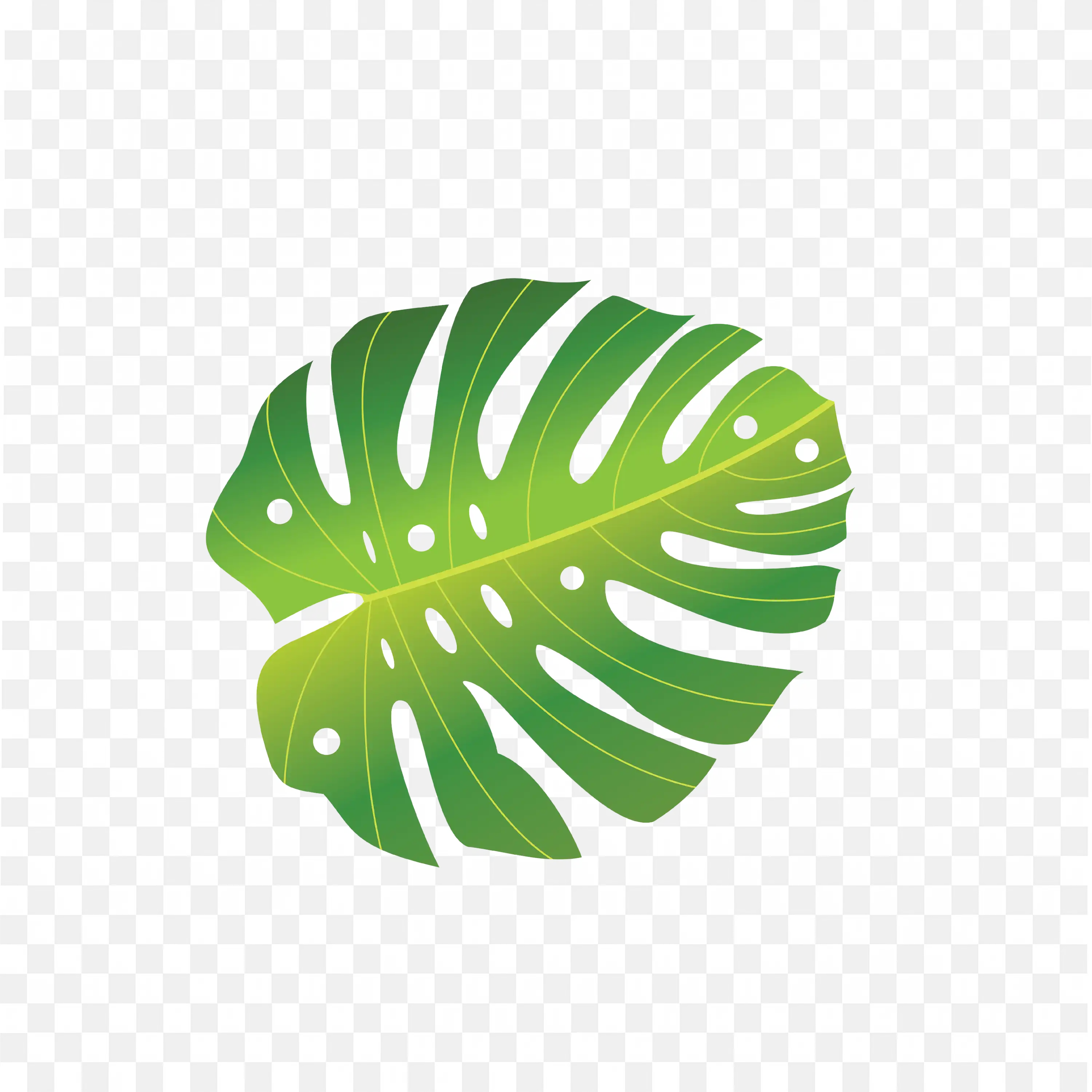 Monstera Leaf PNG Tropical Leaf Isolated on White