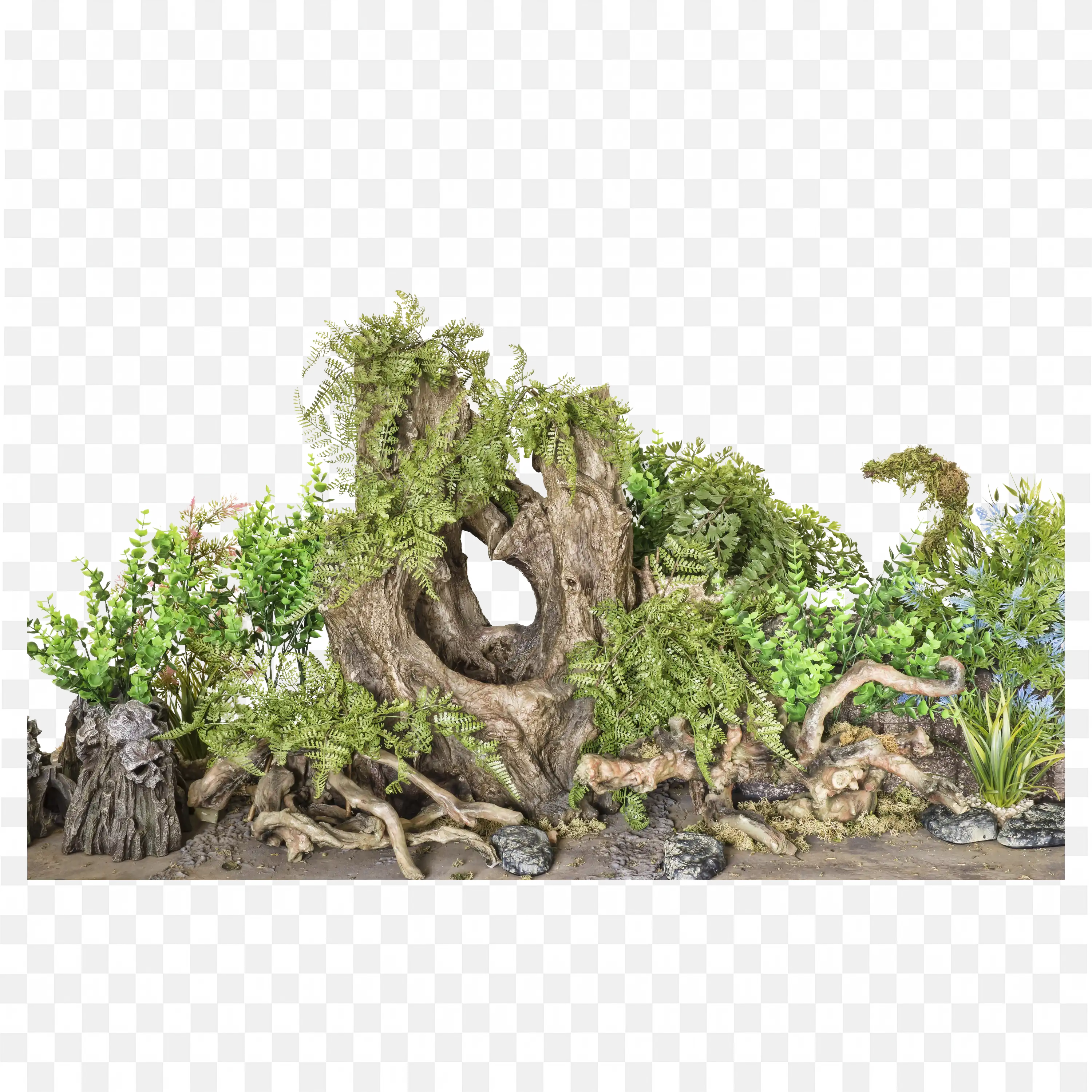 Nature PNG Rocks and Mossy Ground Forest Detail Clipart