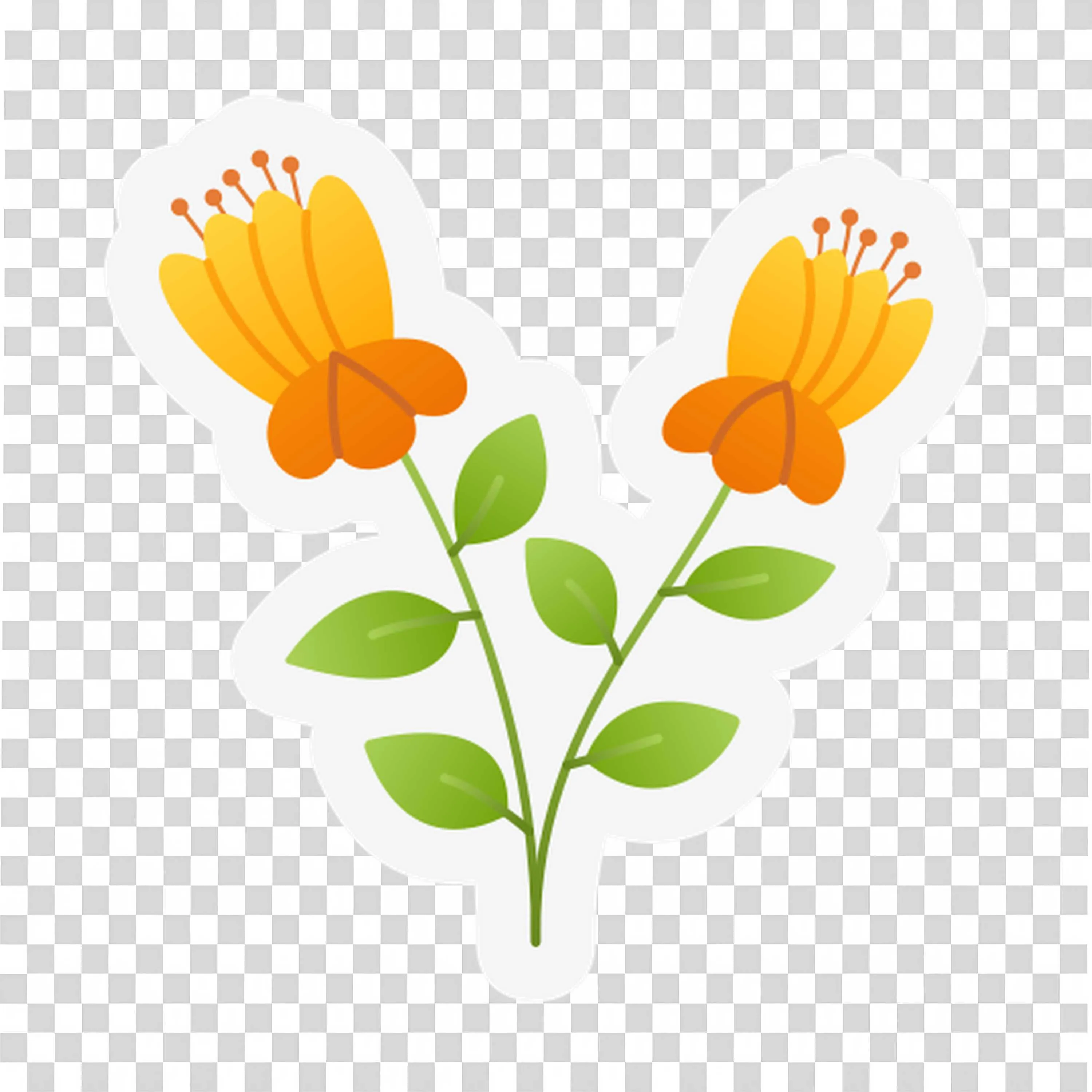 Orange and Yellow Flowers with Green Stems and White Petals