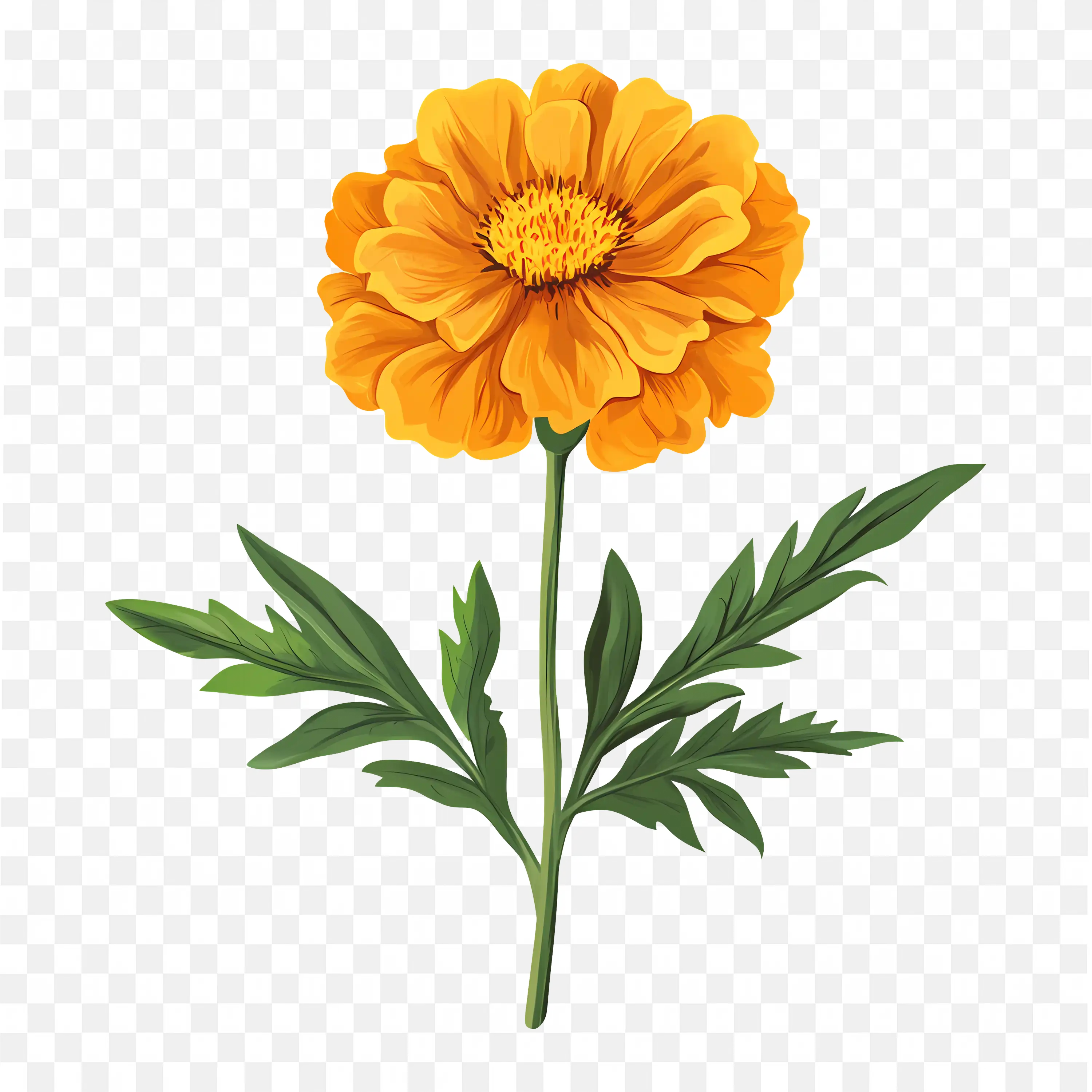 Orange Marigold PNG Flower Nature Art Clip Bloom Design