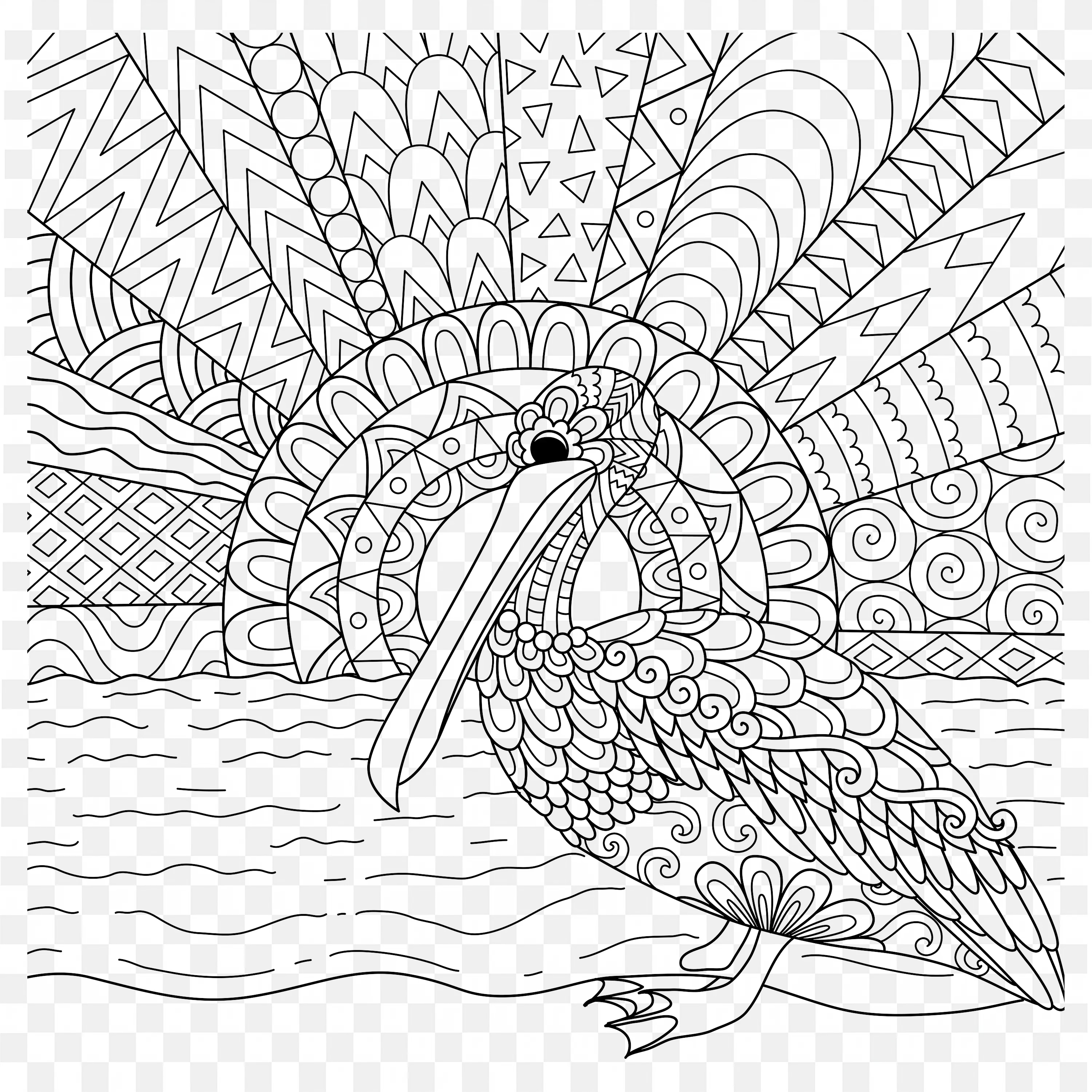Pelican Coloring Page Art Line Drawing Clip Design Scene